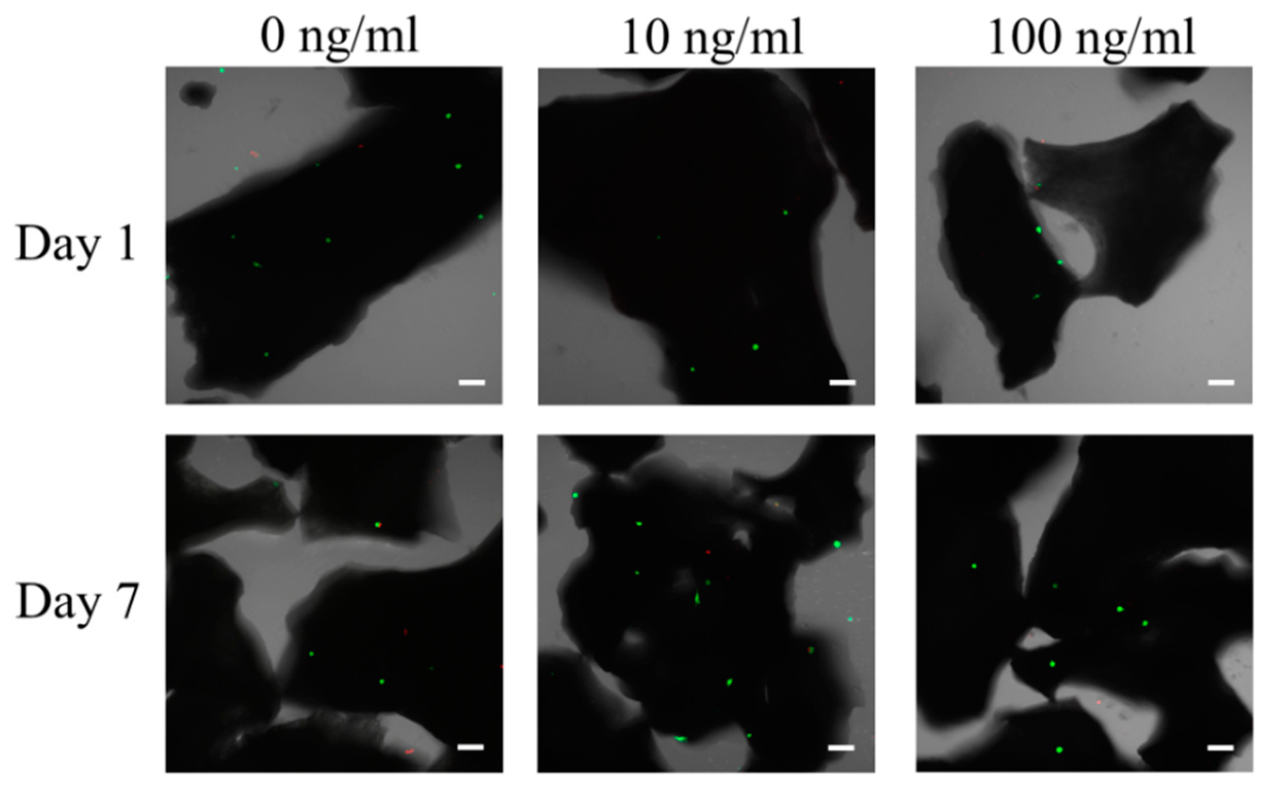 Applsci 10 05471 g003