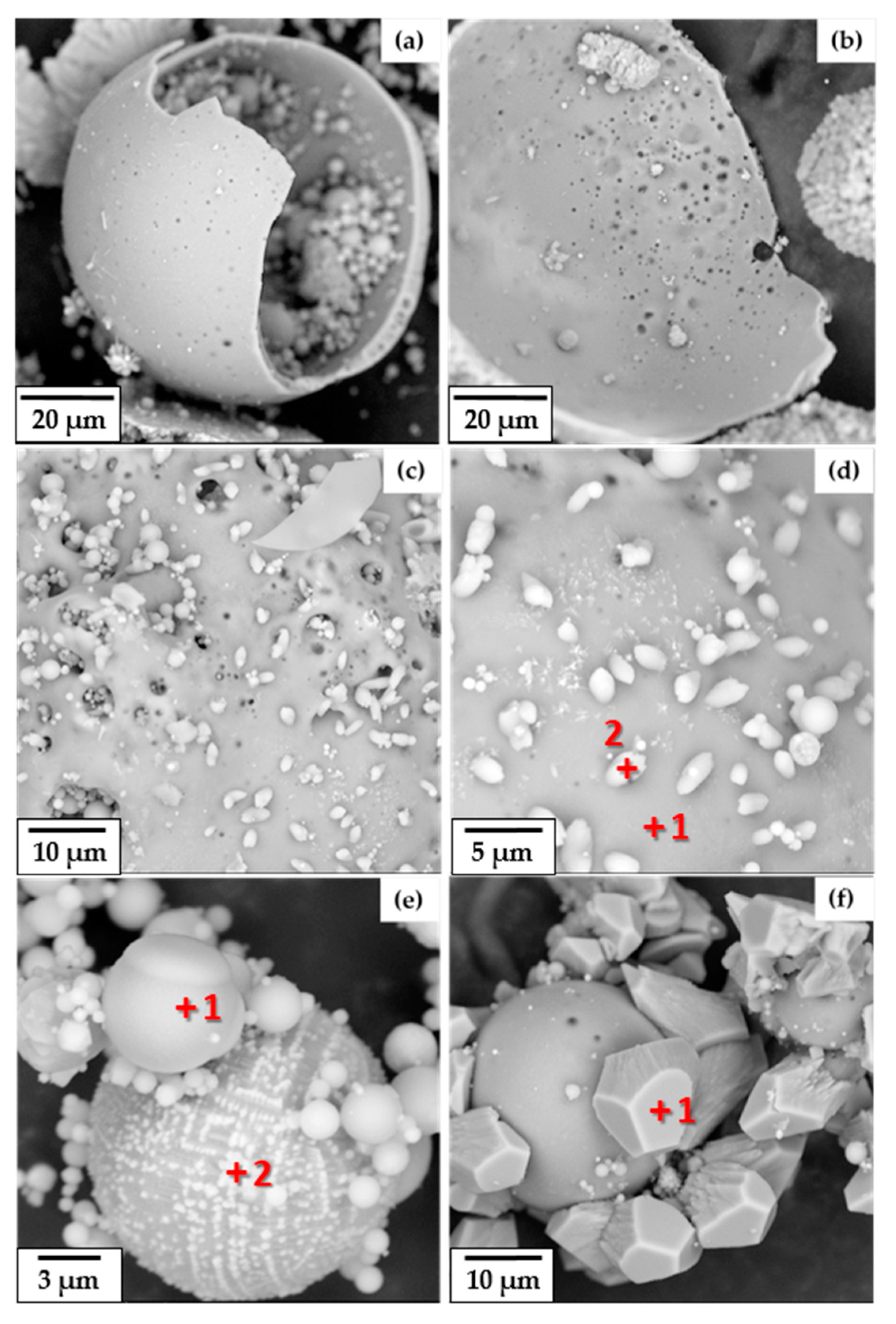 Applsci 10 05512 g005