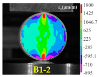 Applsci 10 05513 i013