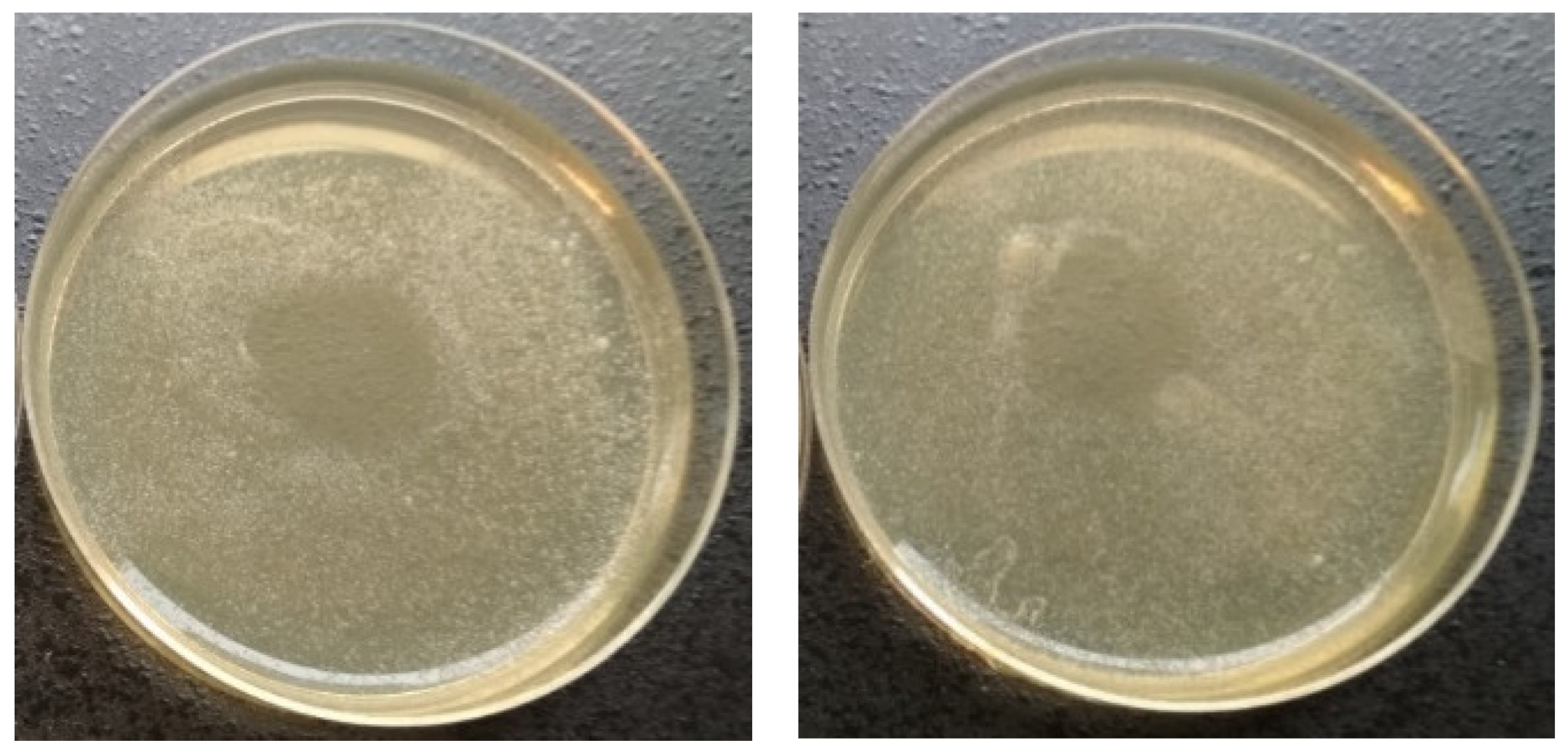 Applsci 10 05538 g006