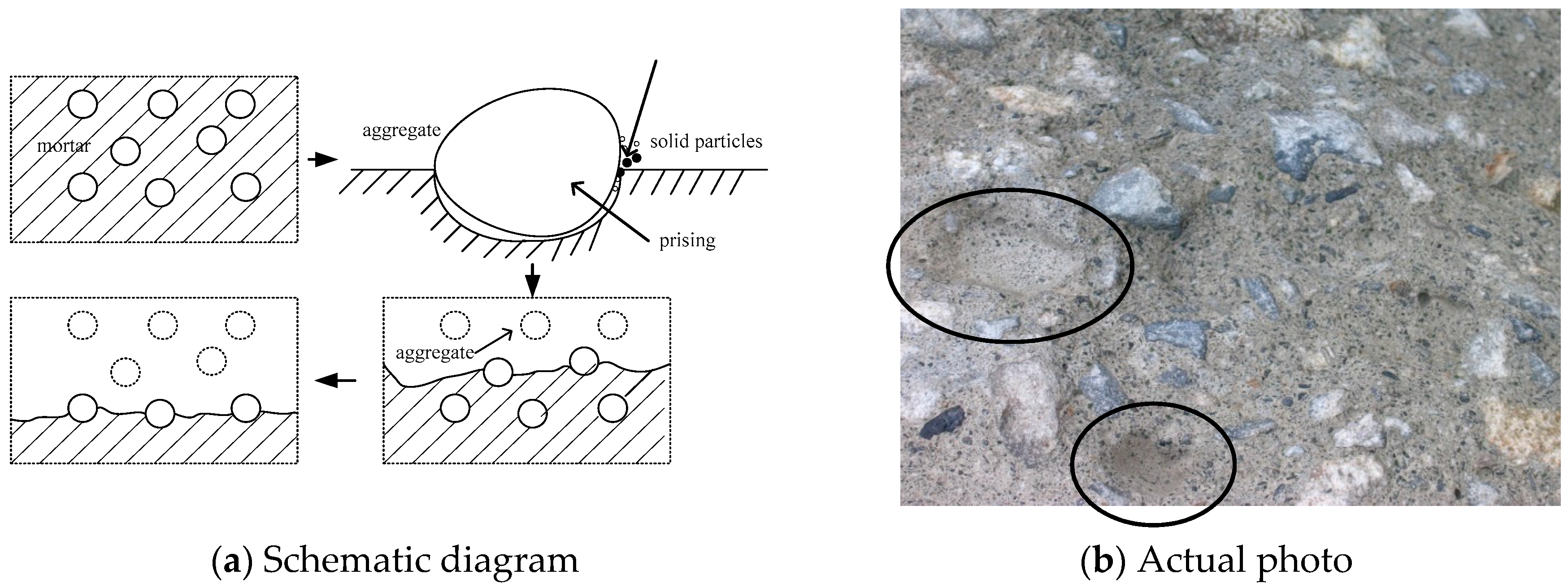 Applsci 10 05562 g001 Applsci 10 05562 g001