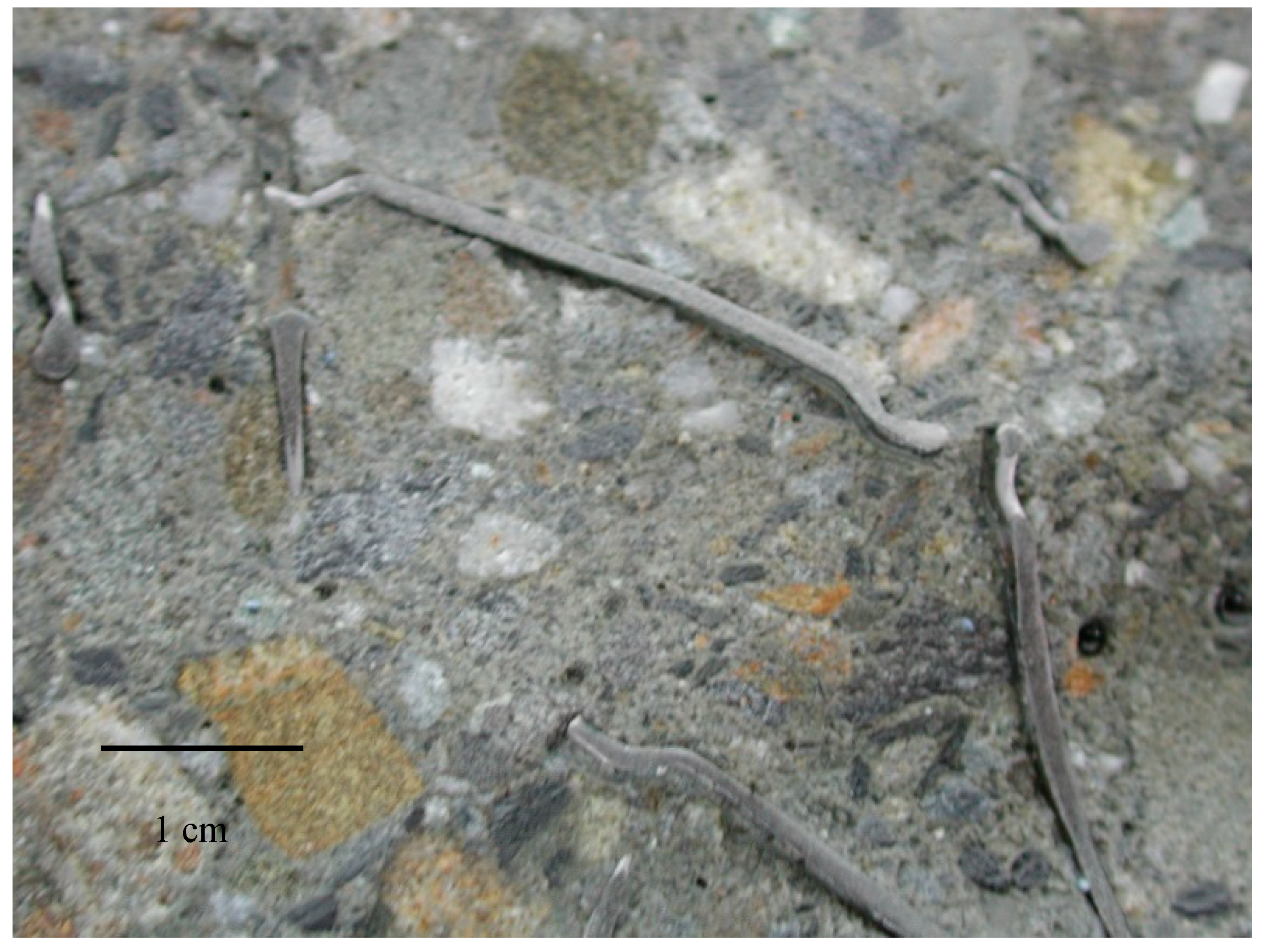 Applsci 10 05562 g003 Applsci 10 05562 g003