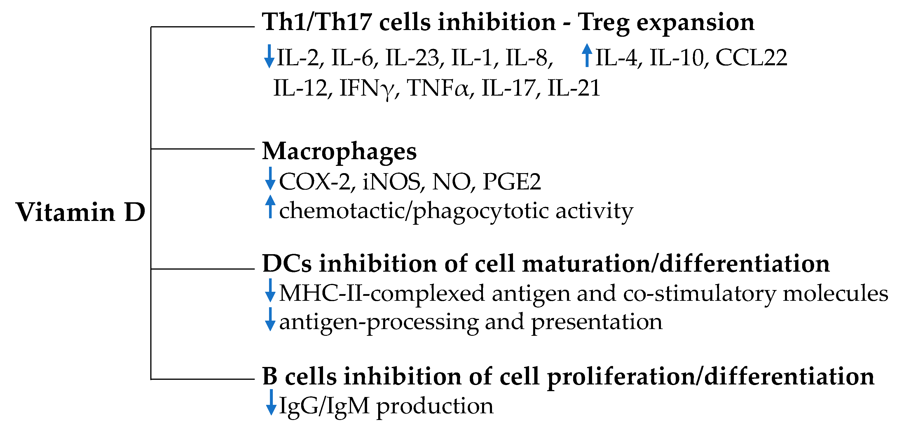 Applsci 10 05592 g001