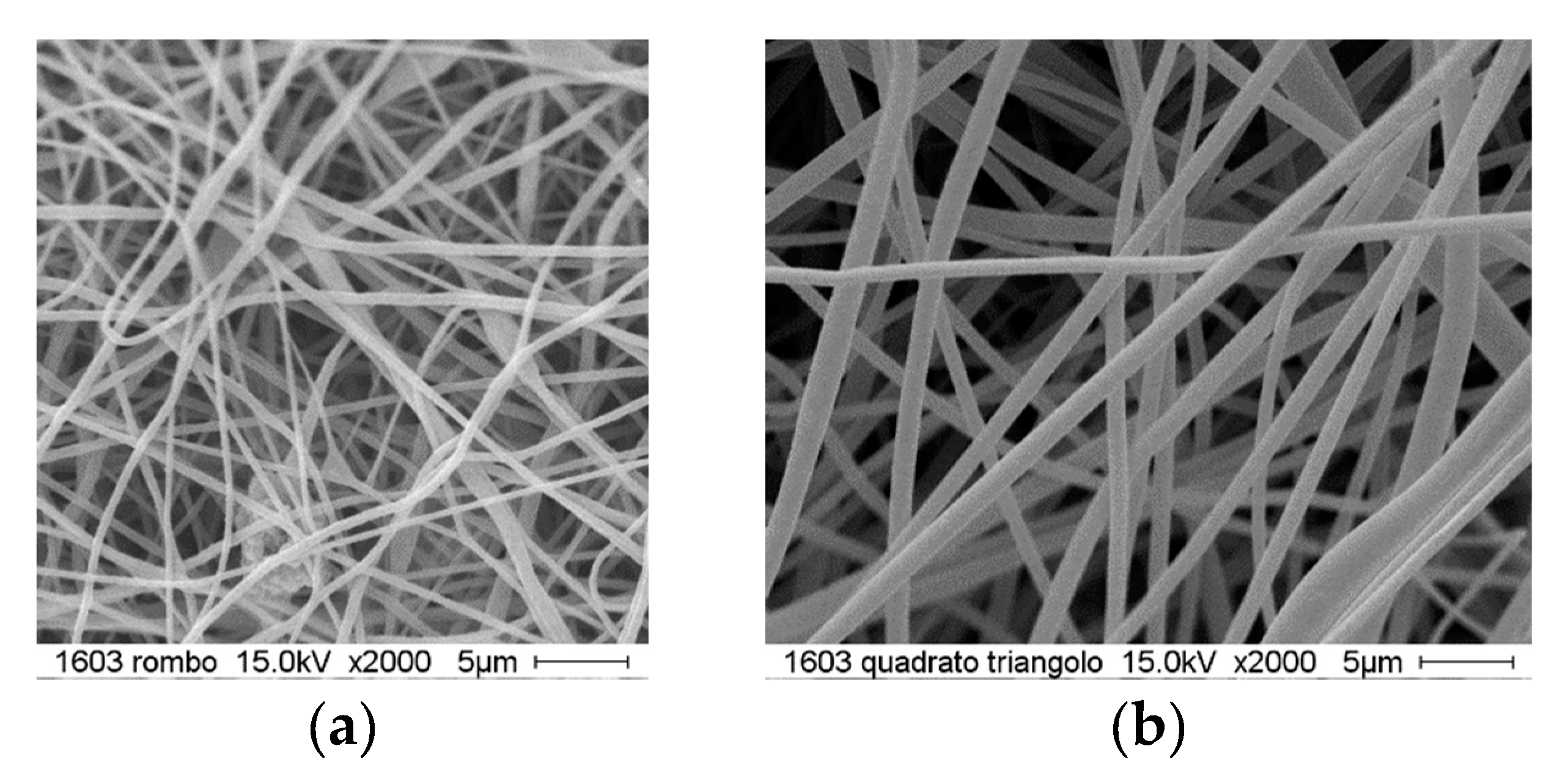 Applsci 10 05618 g002