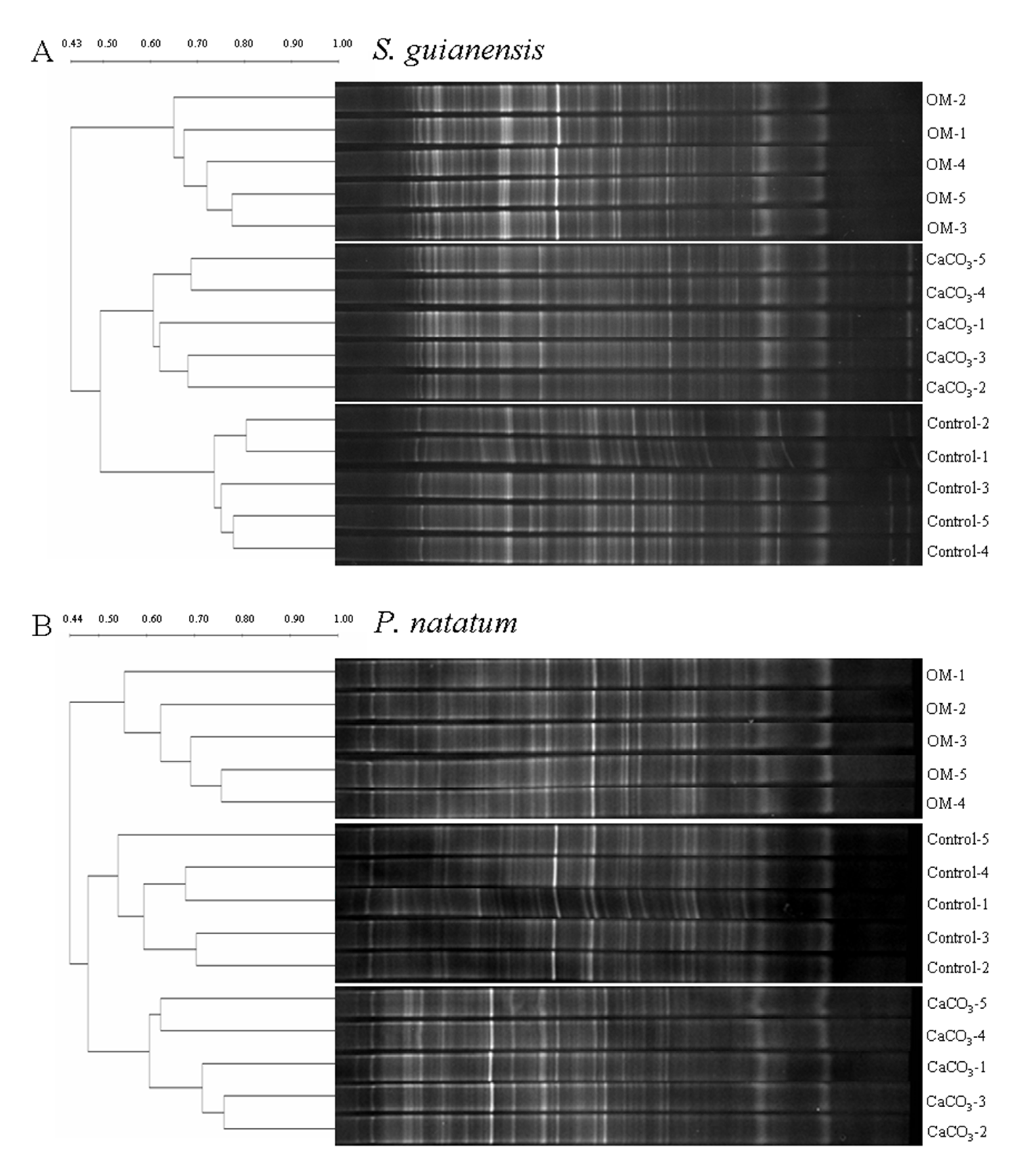 Applsci 10 05681 g002