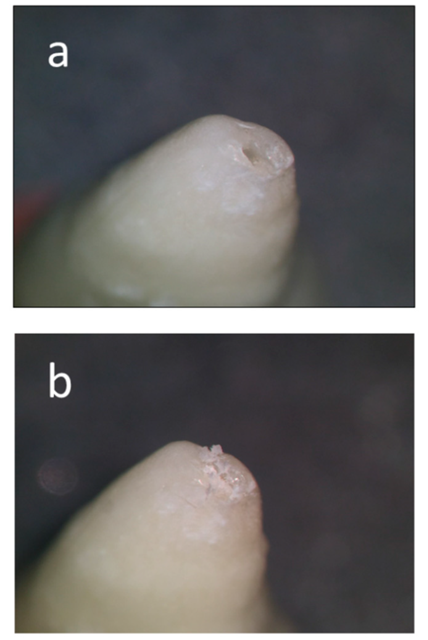 Applsci 10 05684 g001