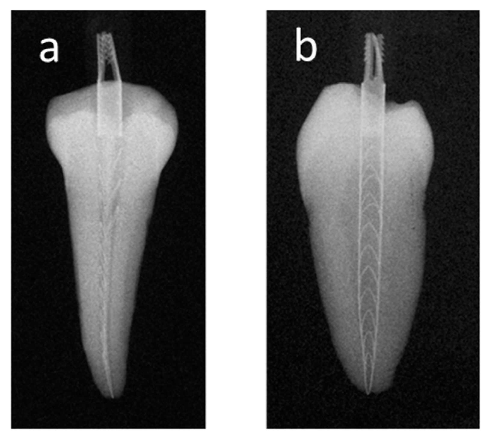 Applsci 10 05684 g003