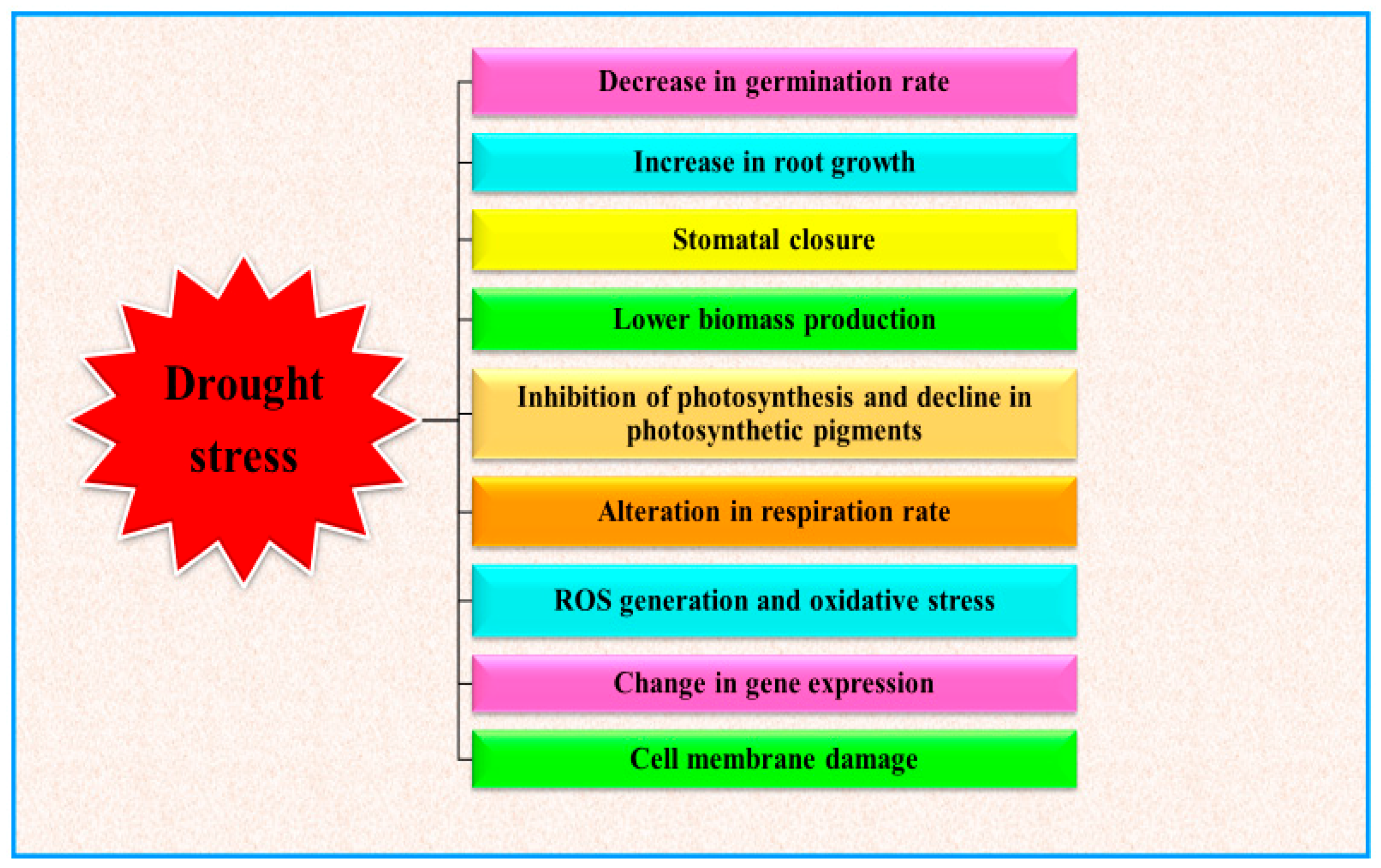 Applsci 10 05692 g001