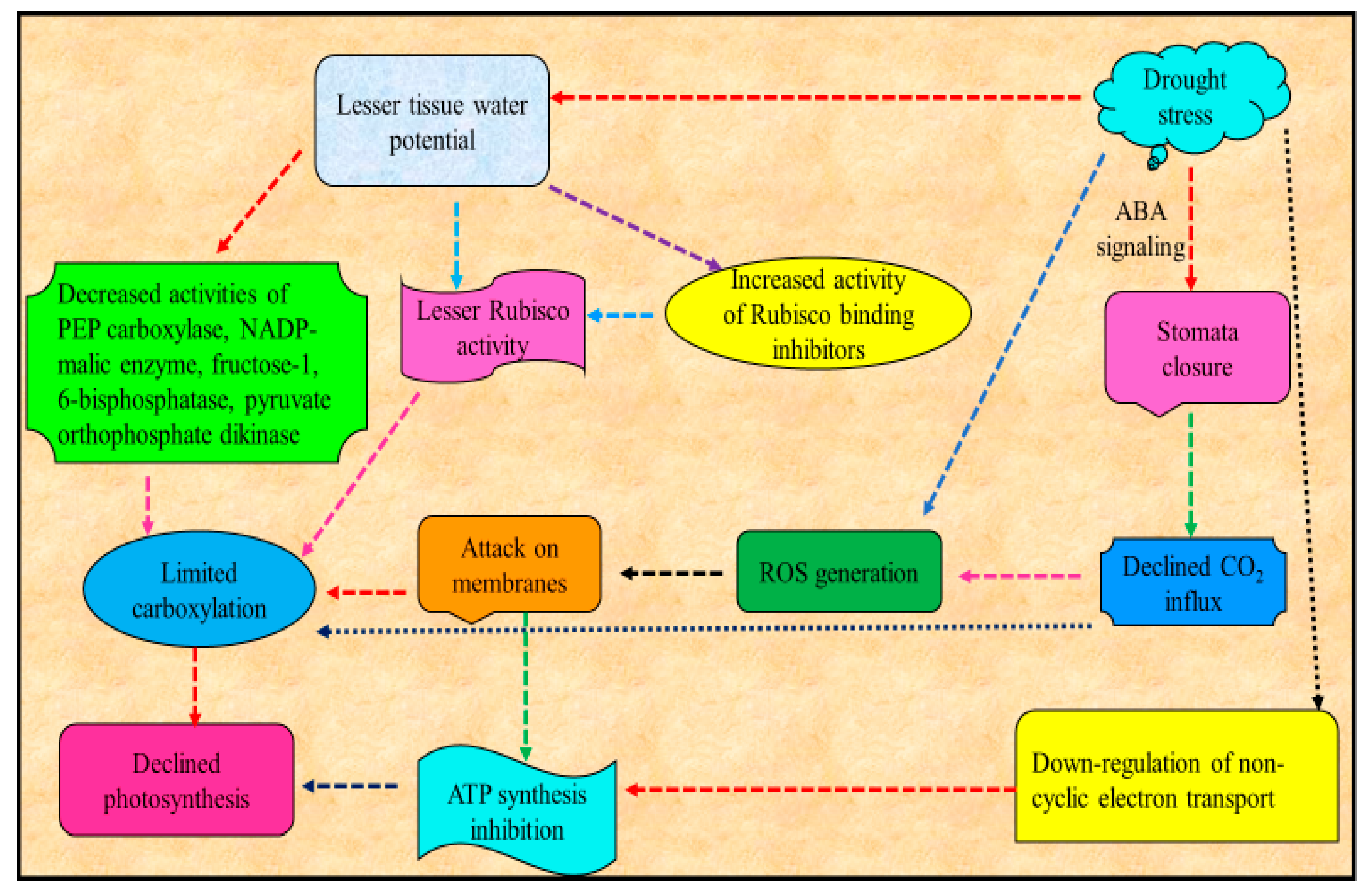 Applsci 10 05692 g002