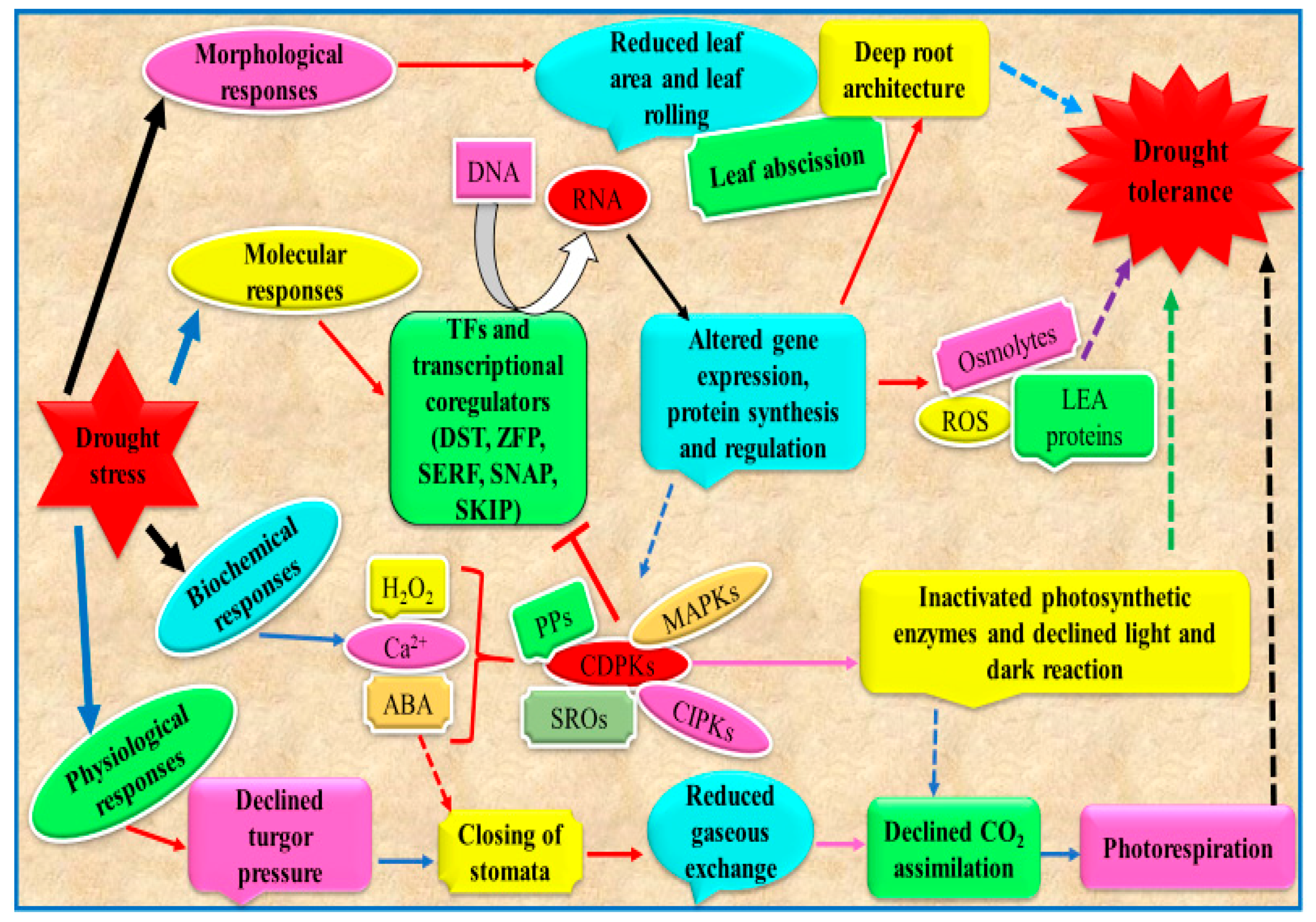 Applsci 10 05692 g004