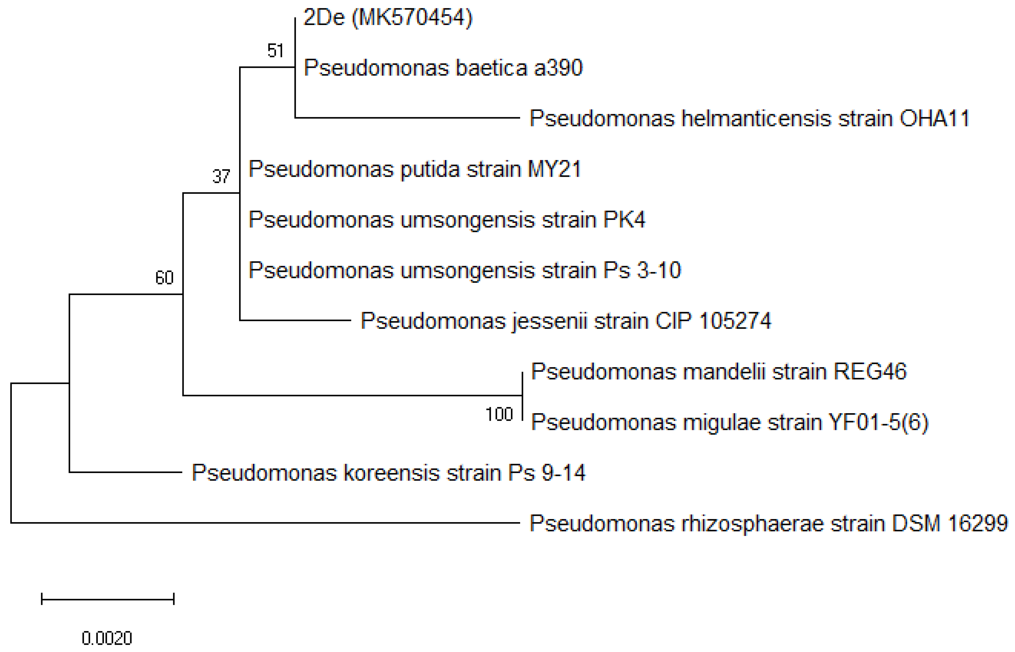 Applsci 10 05717 g001