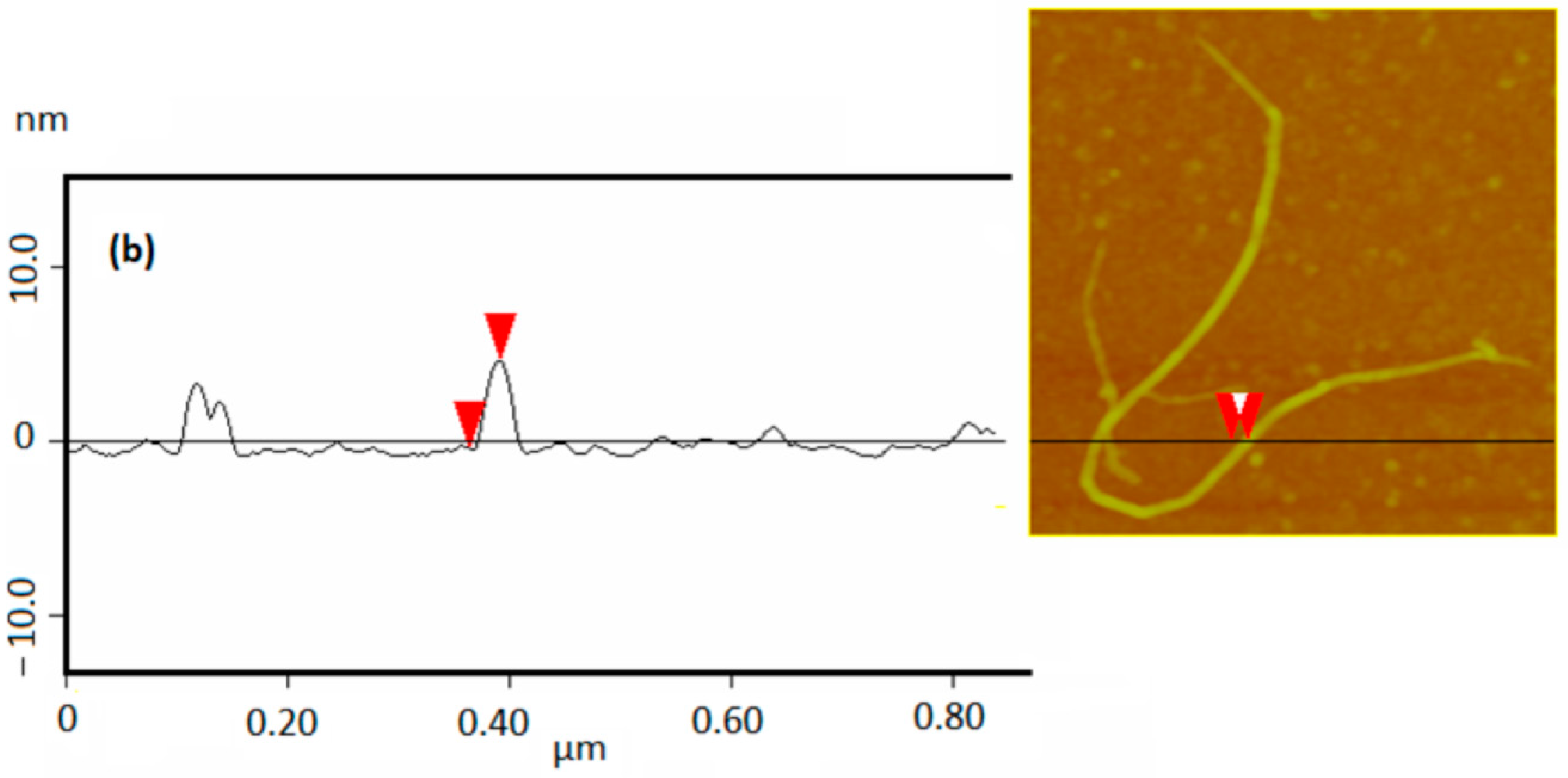 Applsci 10 05737 g004b Applsci 10 05737 g004b