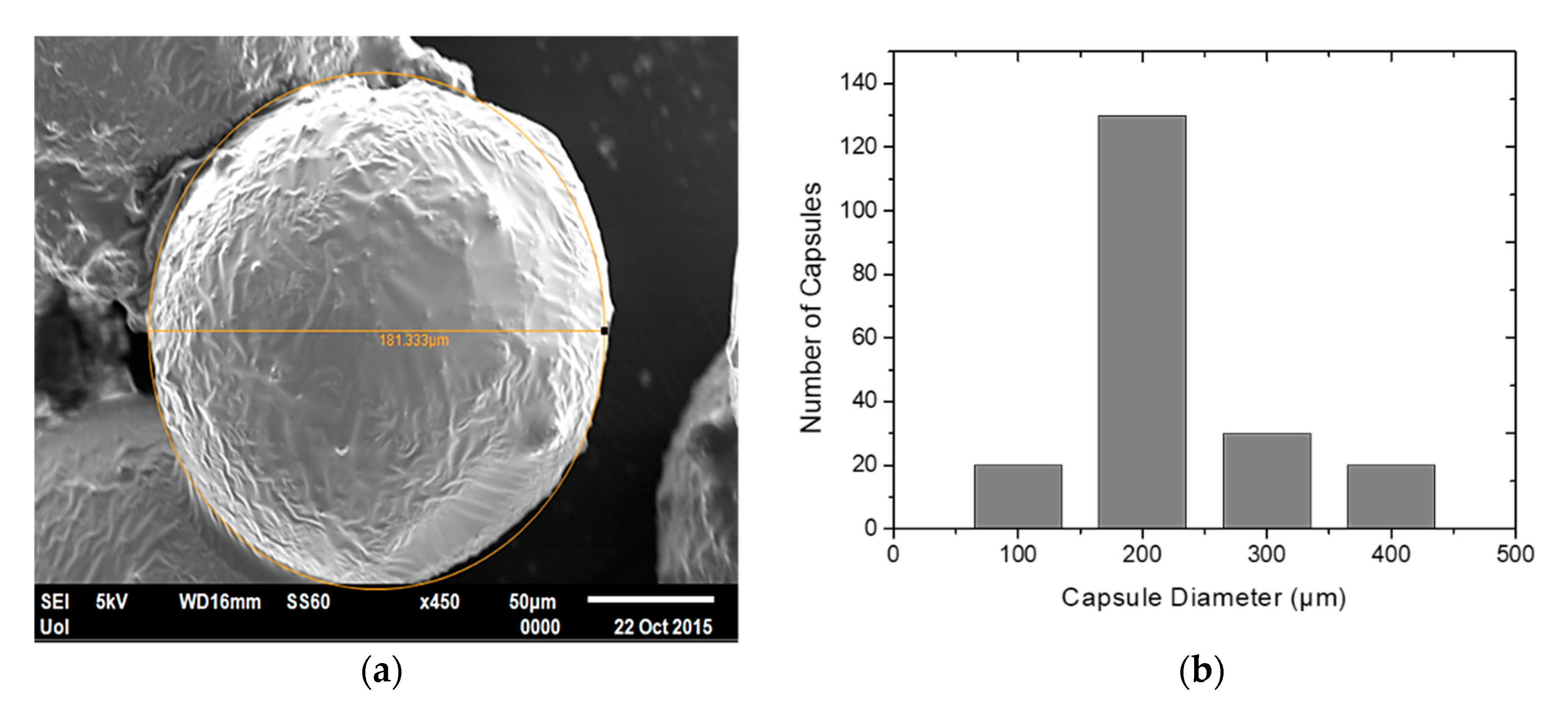 Applsci 10 05739 g007 Applsci 10 05739 g007