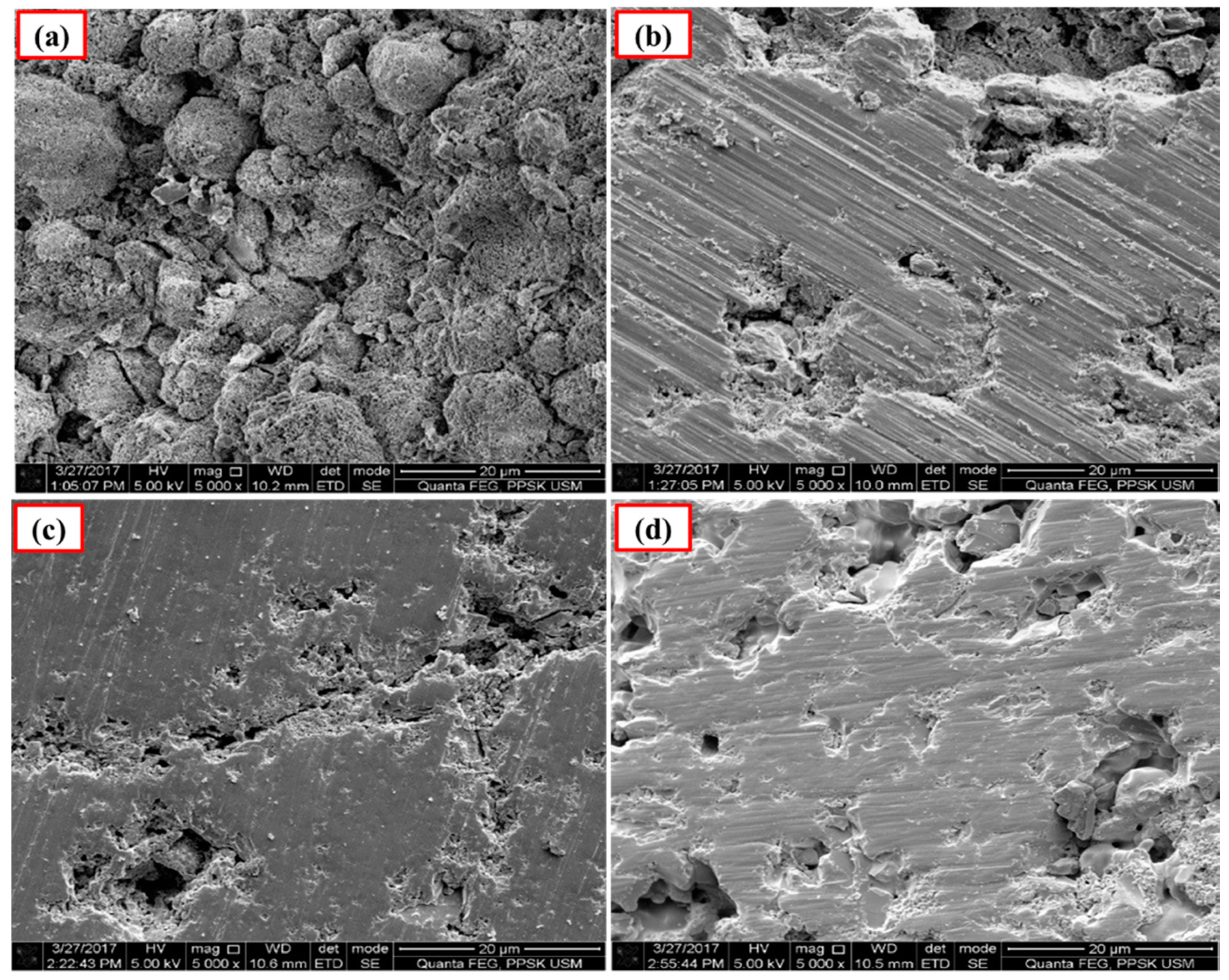 Applsci 10 05751 g007