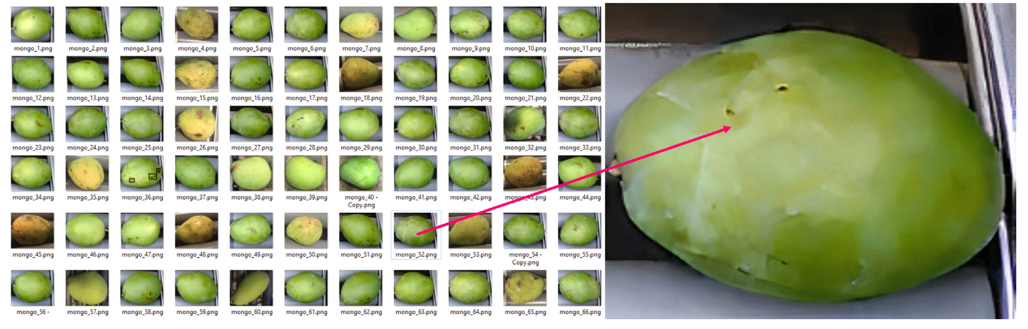 Applsci 10 05775 g007