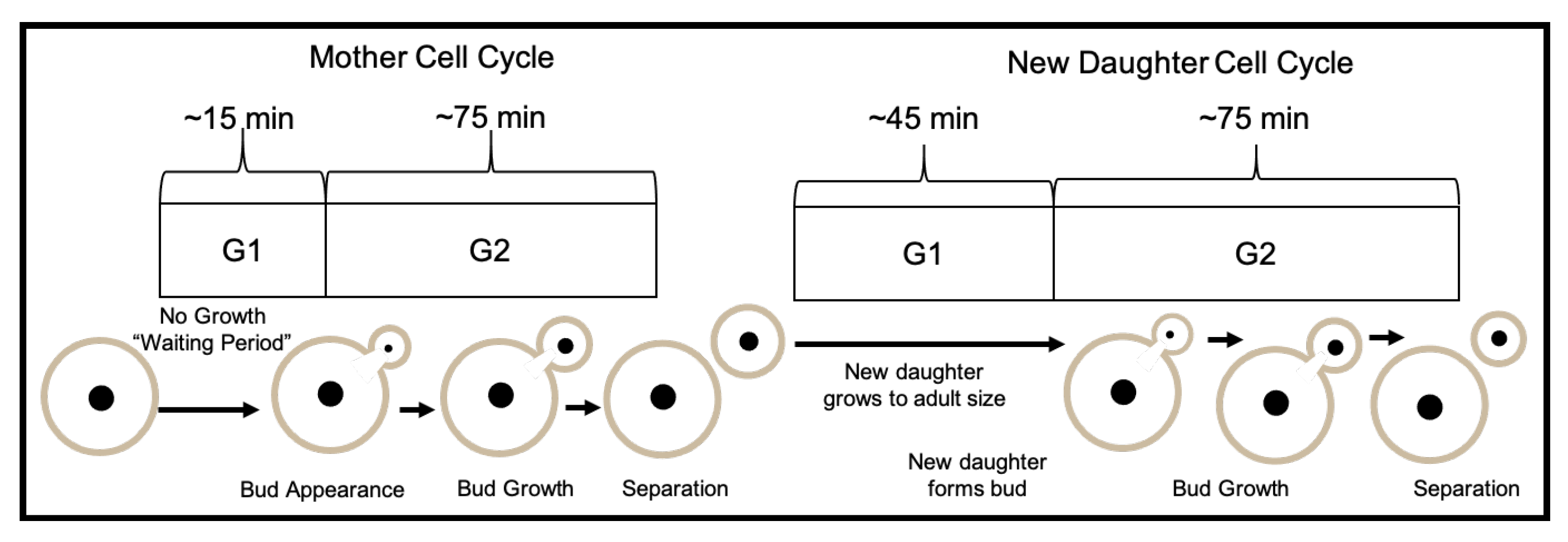 Applsci 10 05780 g014