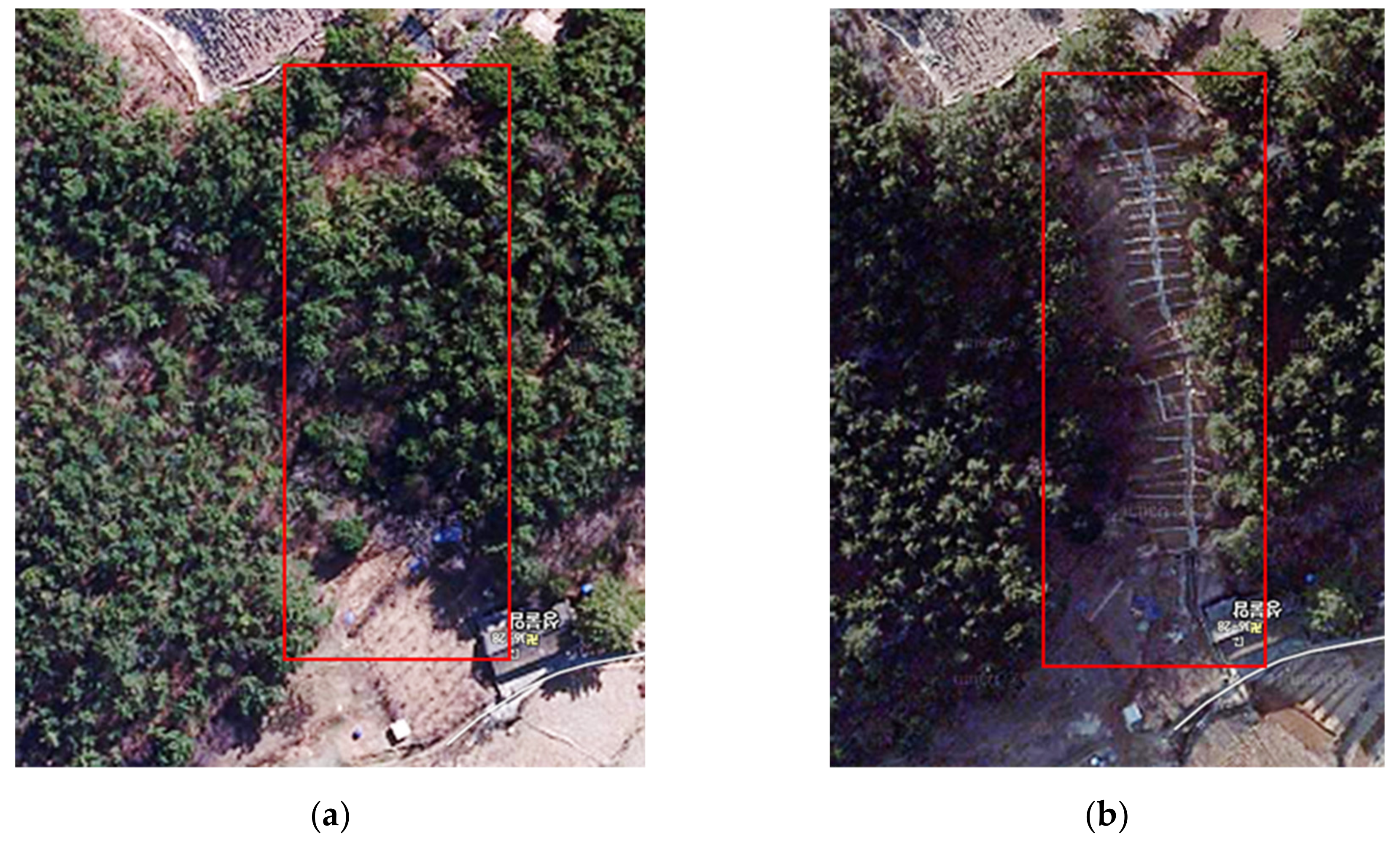 Applsci 10 05788 g007