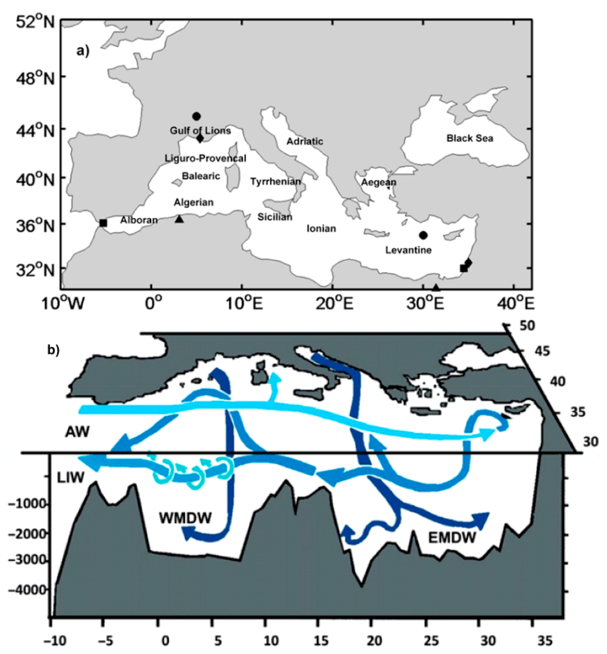 Applsci 10 05790 g001