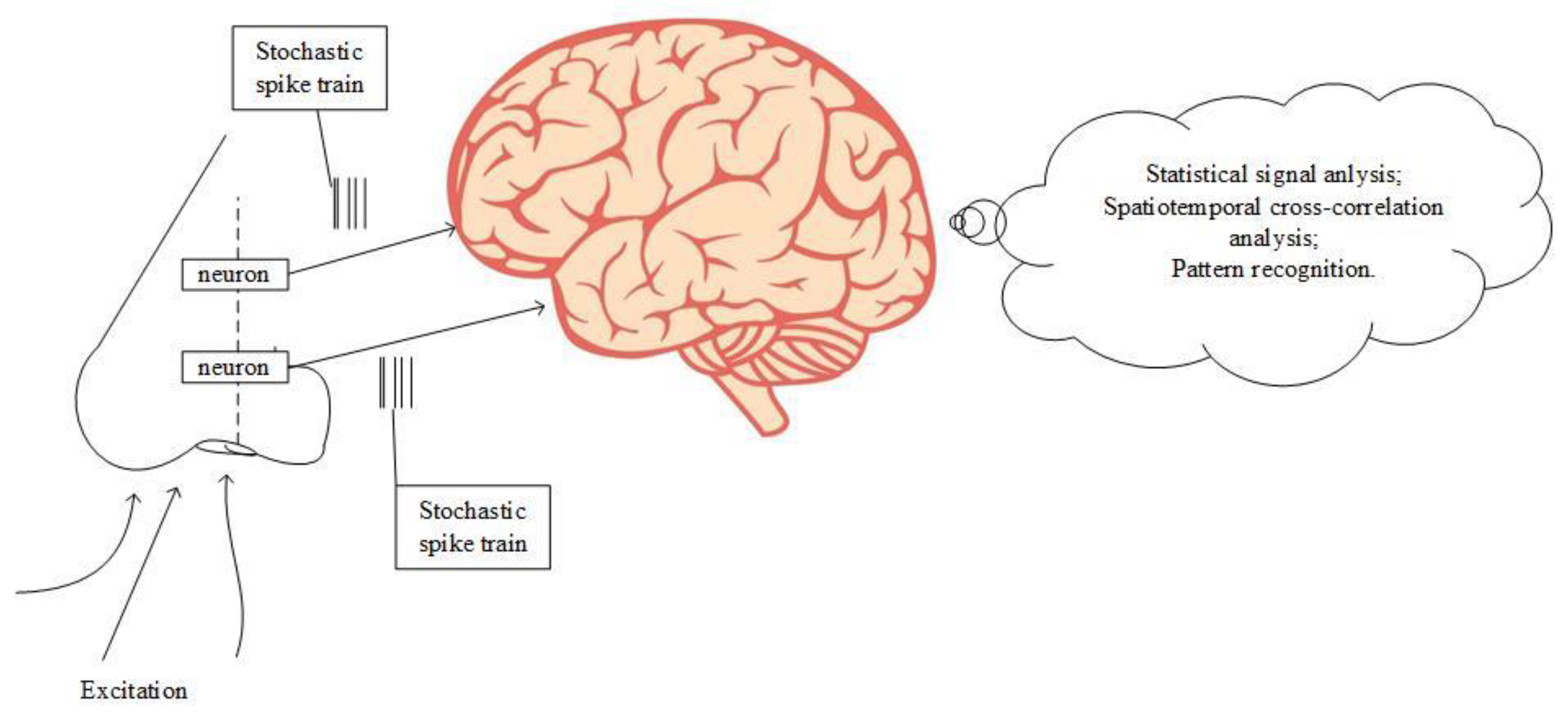 Applsci 10 05818 g002 Applsci 10 05818 g002