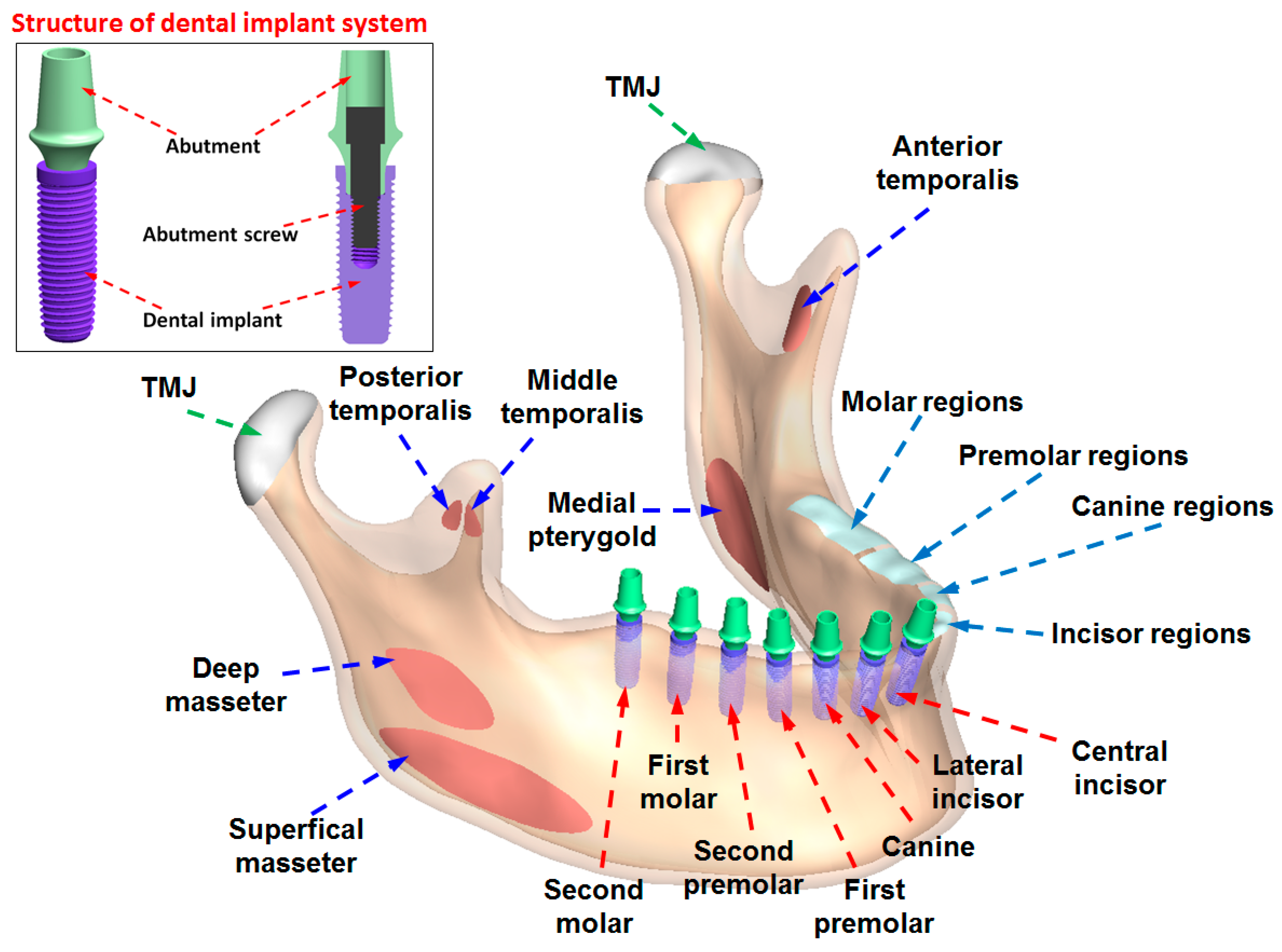Applsci 10 05826 g001 Applsci 10 05826 g001