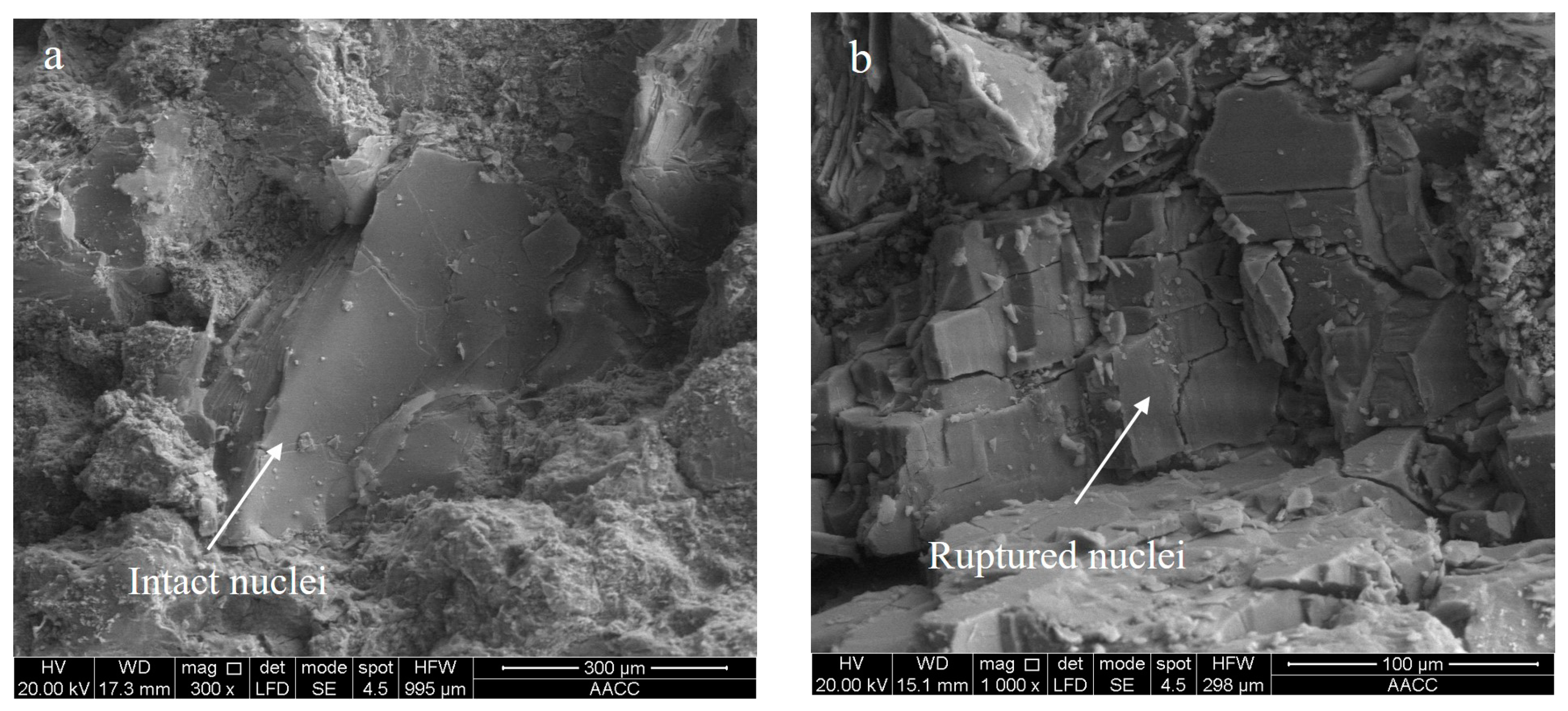 Applsci 10 05868 g007