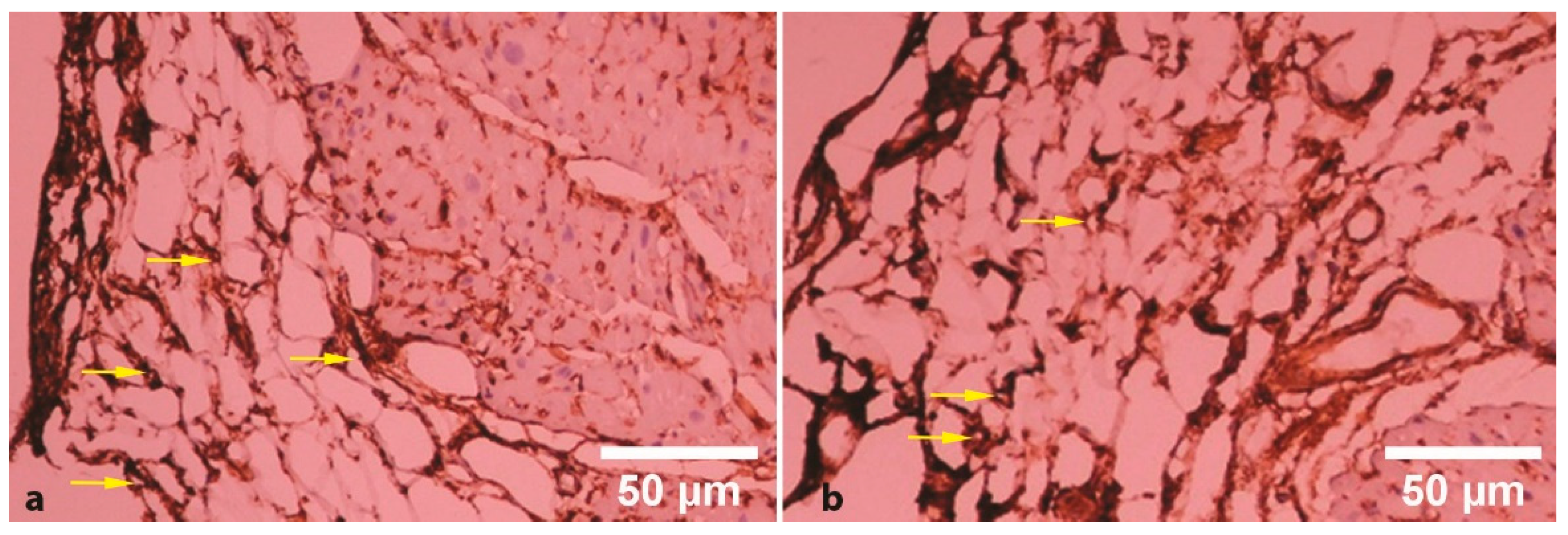 Applsci 10 05871 g002 Applsci 10 05871 g002