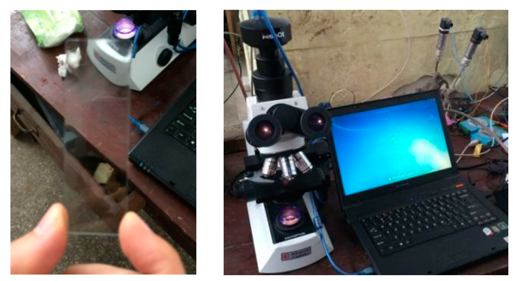 Applsci 10 05884 g002 Applsci 10 05884 g002