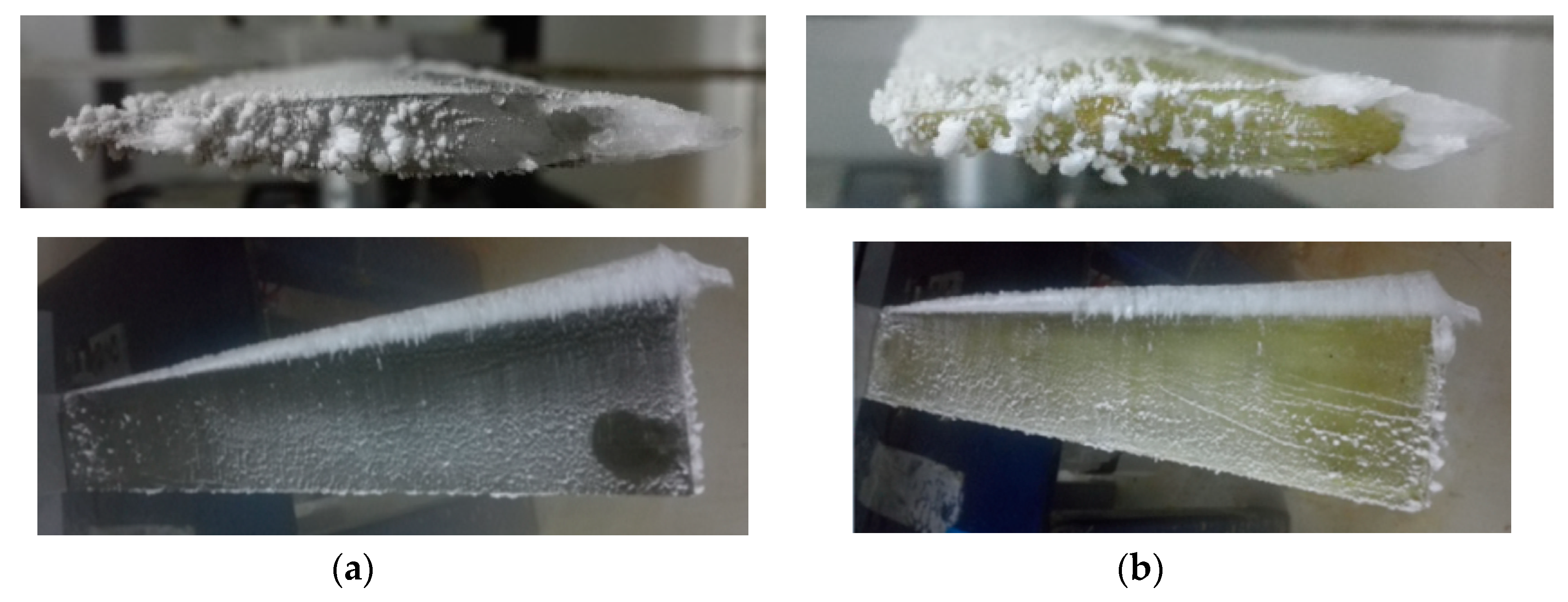 Applsci 10 05884 g015 Applsci 10 05884 g015