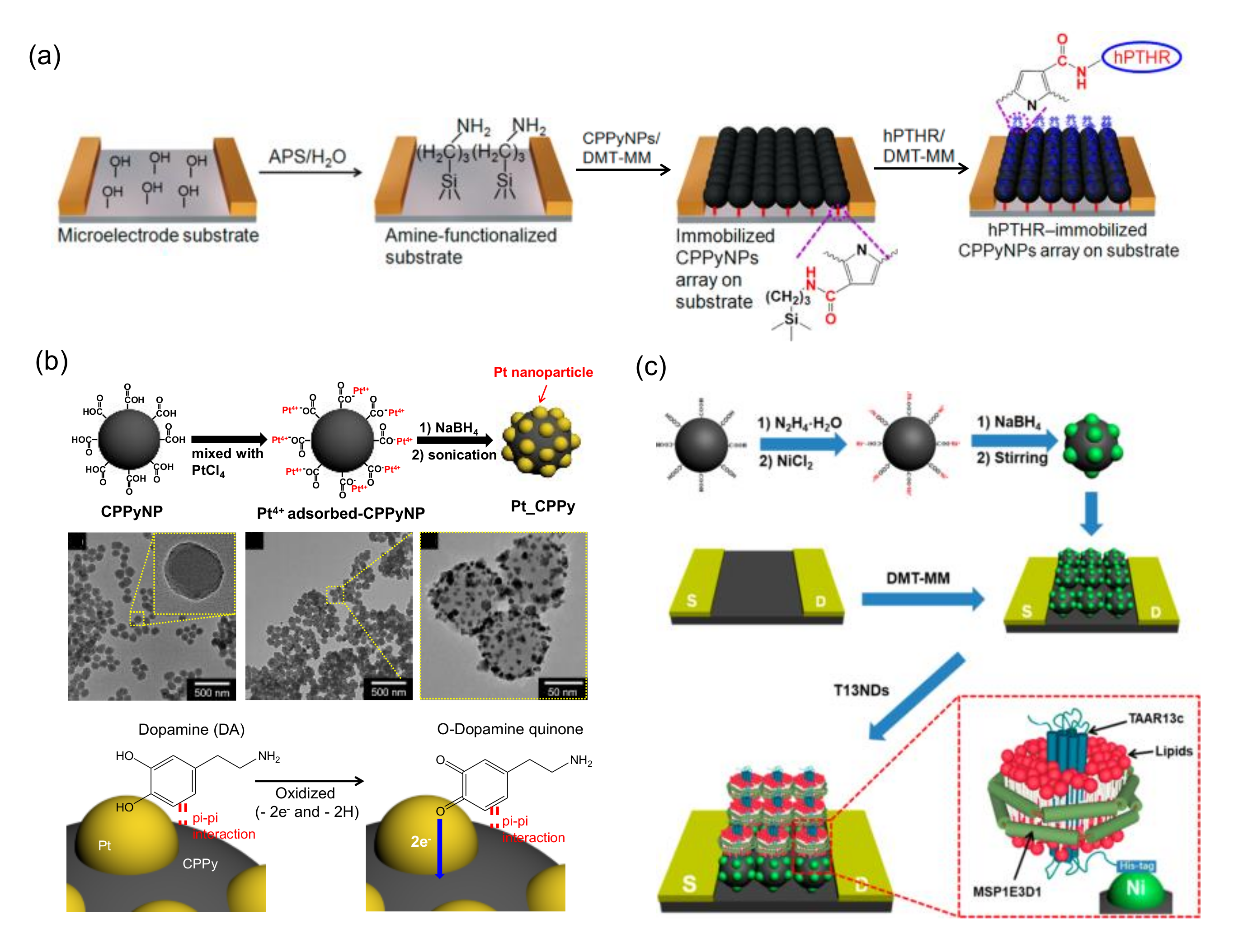 Applsci 10 05889 g001 Applsci 10 05889 g001