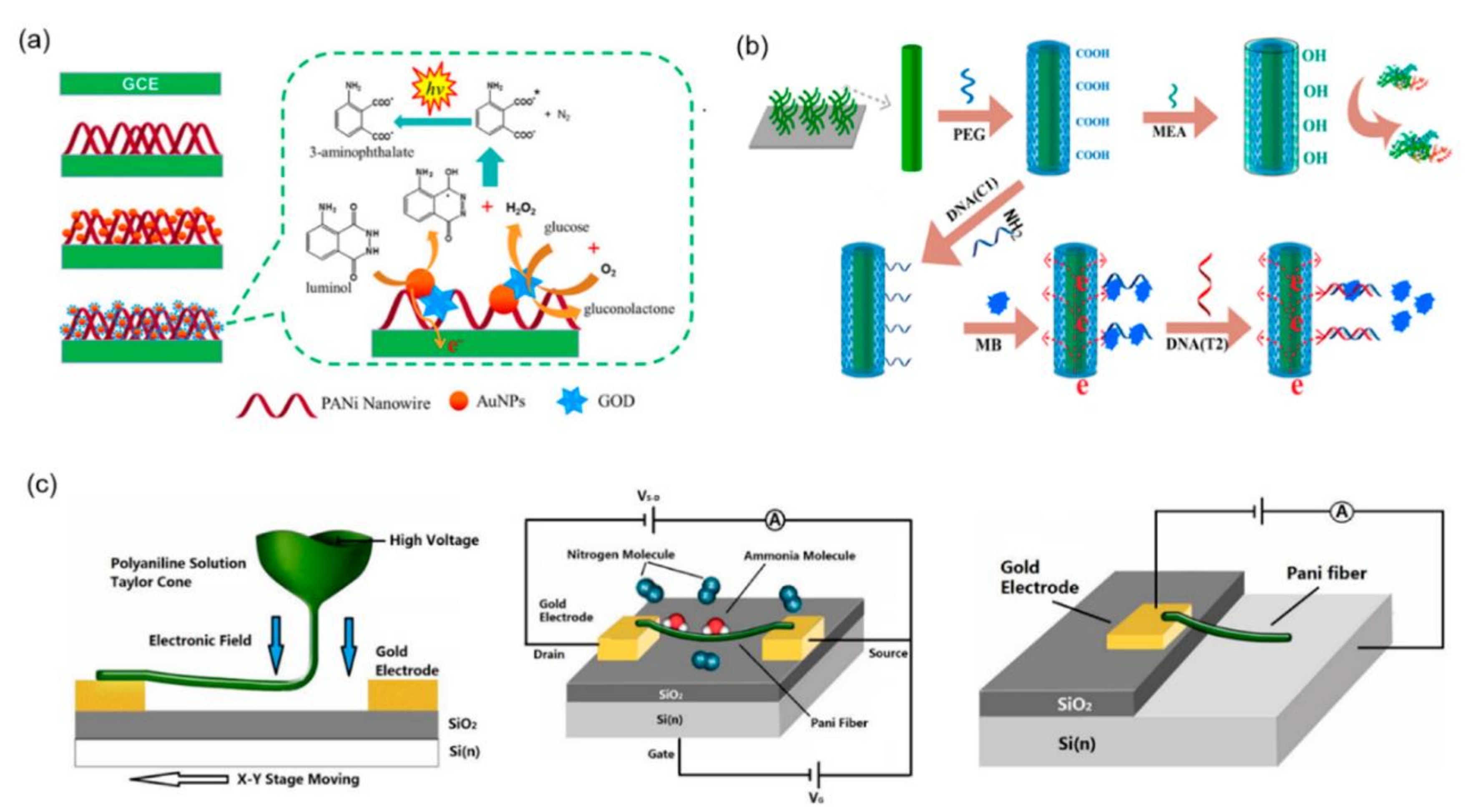 Applsci 10 05889 g005 Applsci 10 05889 g005