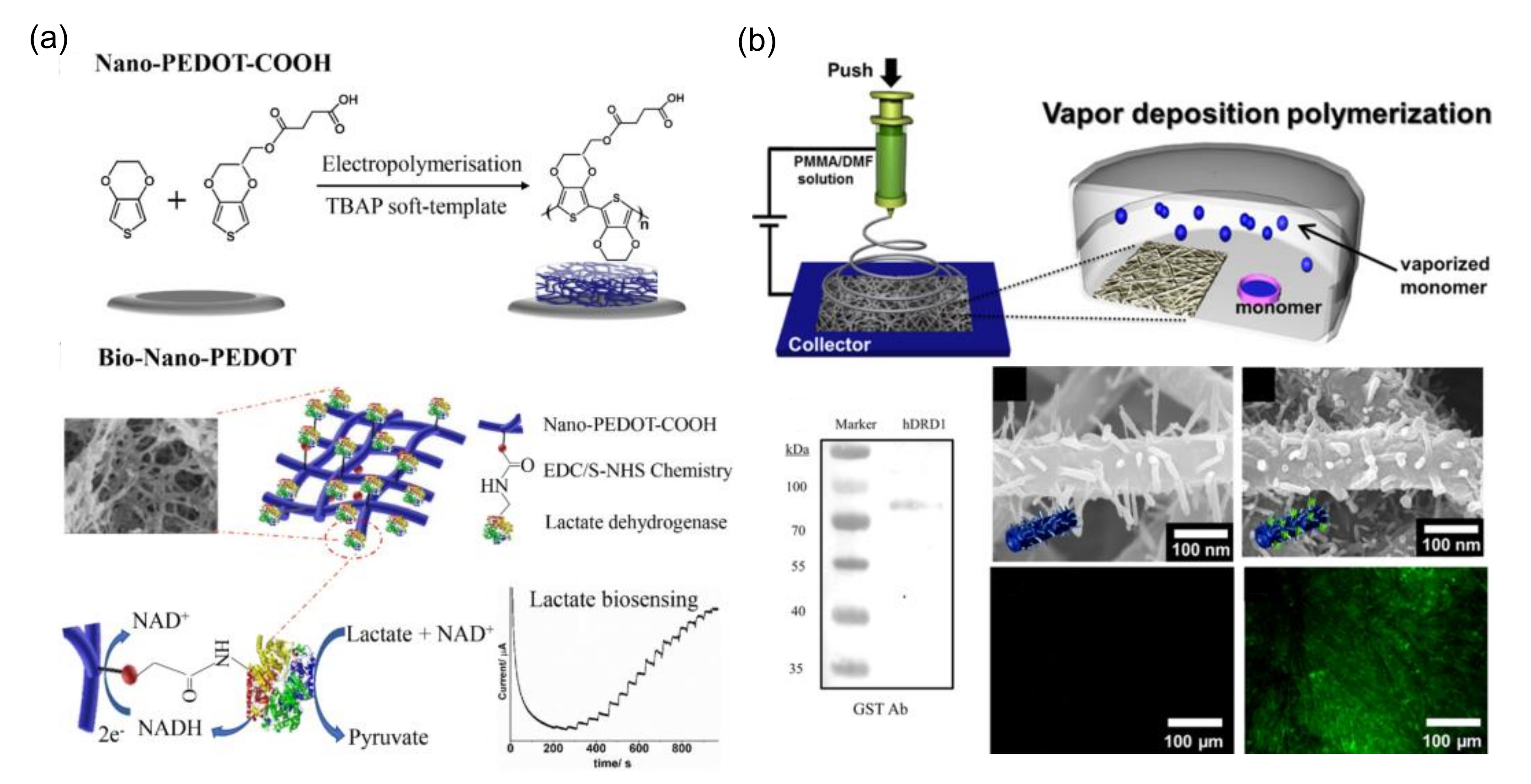 Applsci 10 05889 g010 Applsci 10 05889 g010