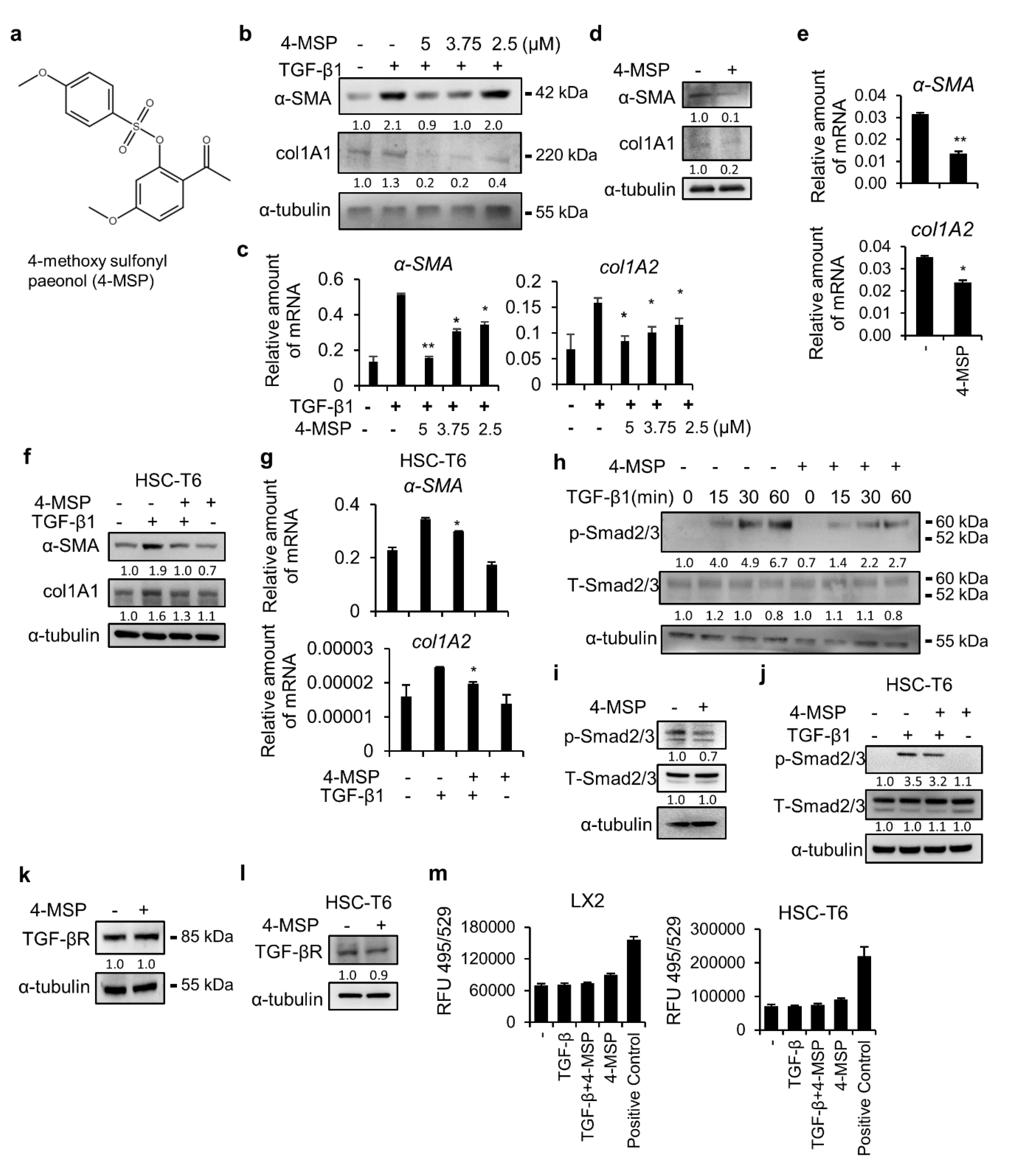 Applsci 10 05941 g001 Applsci 10 05941 g001