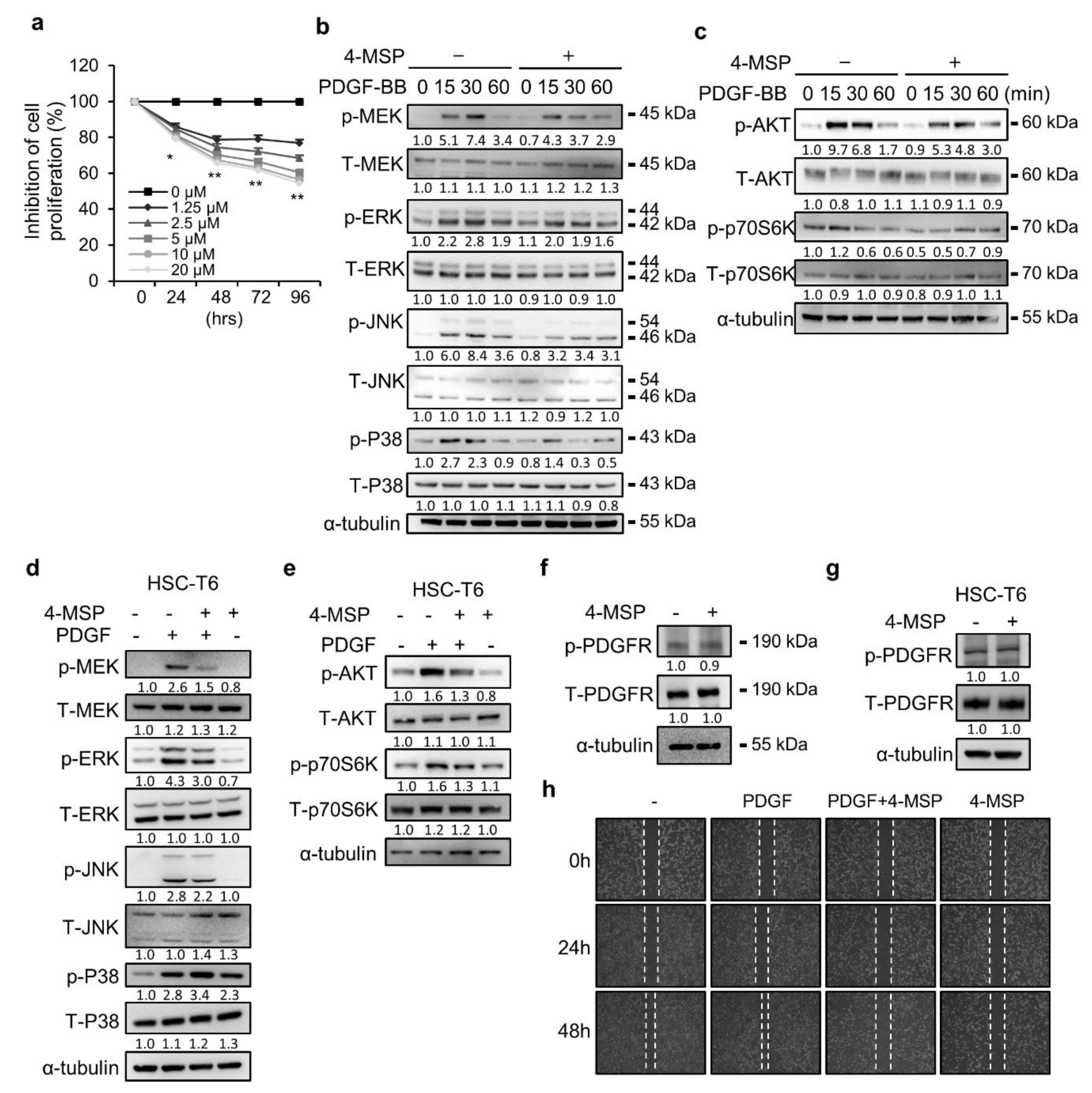 Applsci 10 05941 g002 Applsci 10 05941 g002