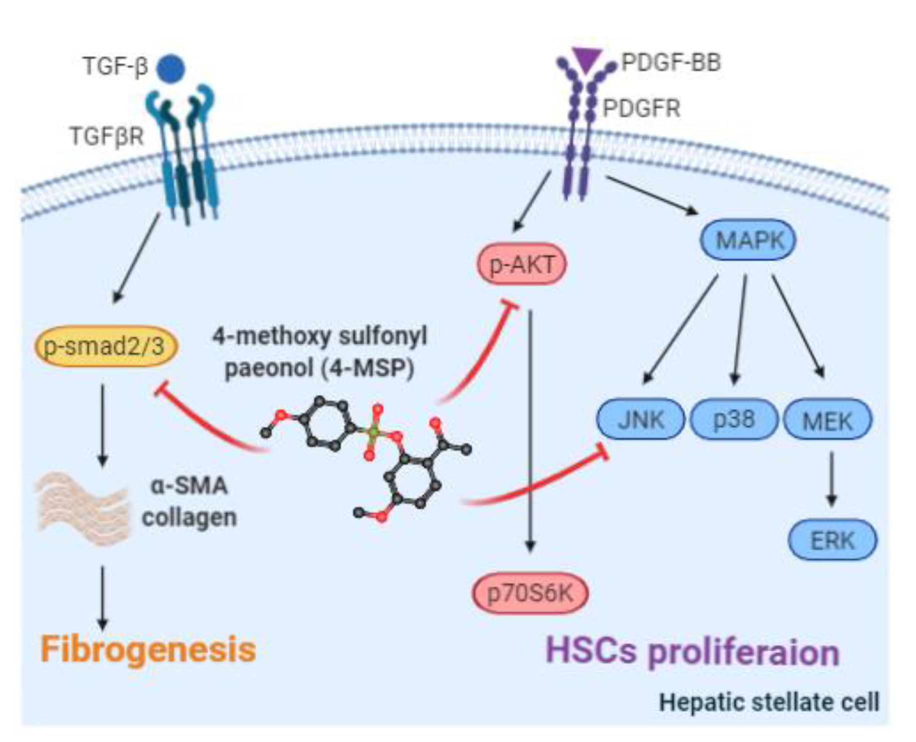 Applsci 10 05941 g006 Applsci 10 05941 g006