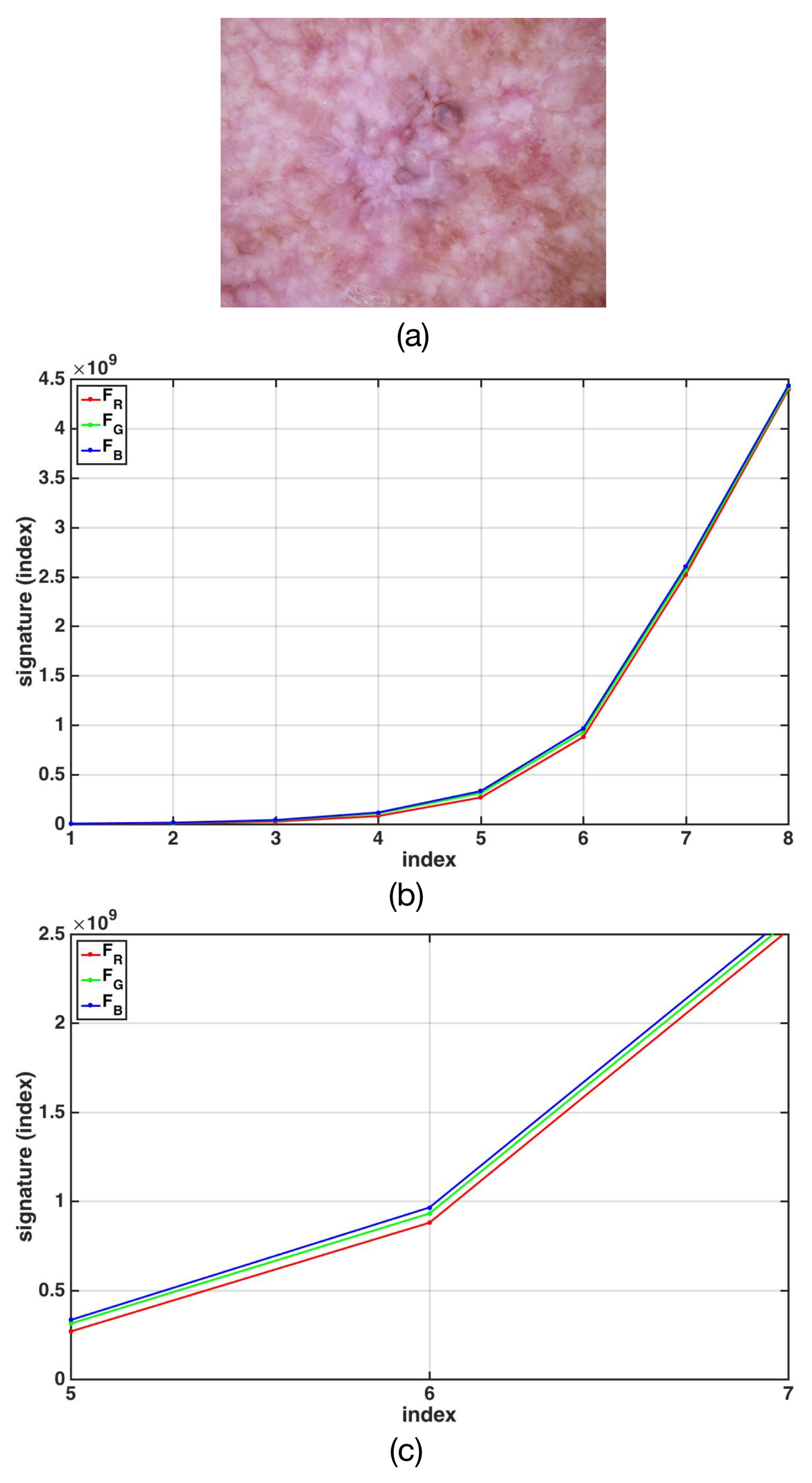 Applsci 10 05954 g002