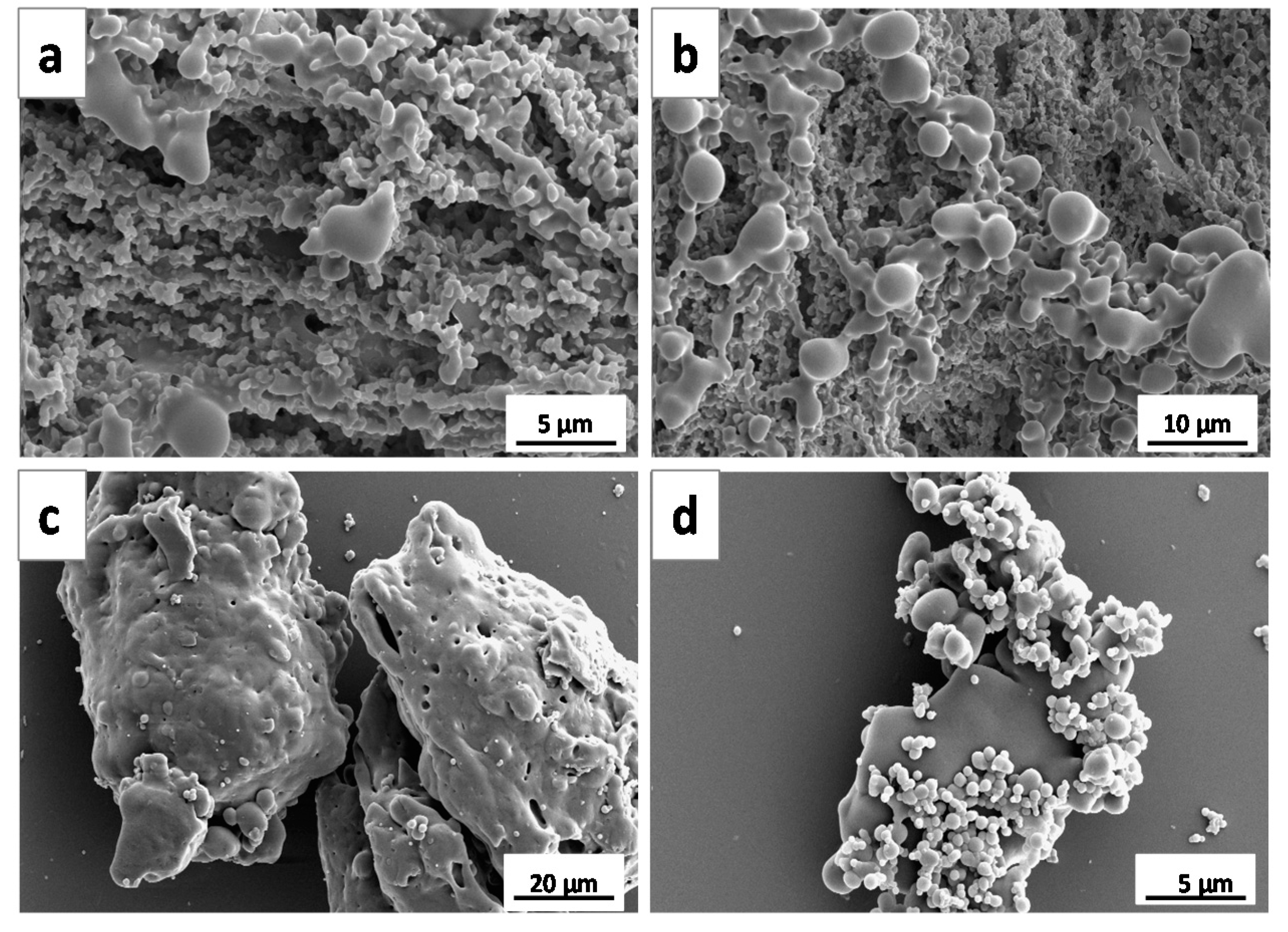 Applsci 10 05960 g001