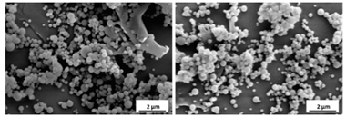 Applsci 10 05960 i004 Applsci 10 05960 i004