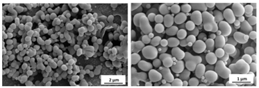 Applsci 10 05960 i008 Applsci 10 05960 i008