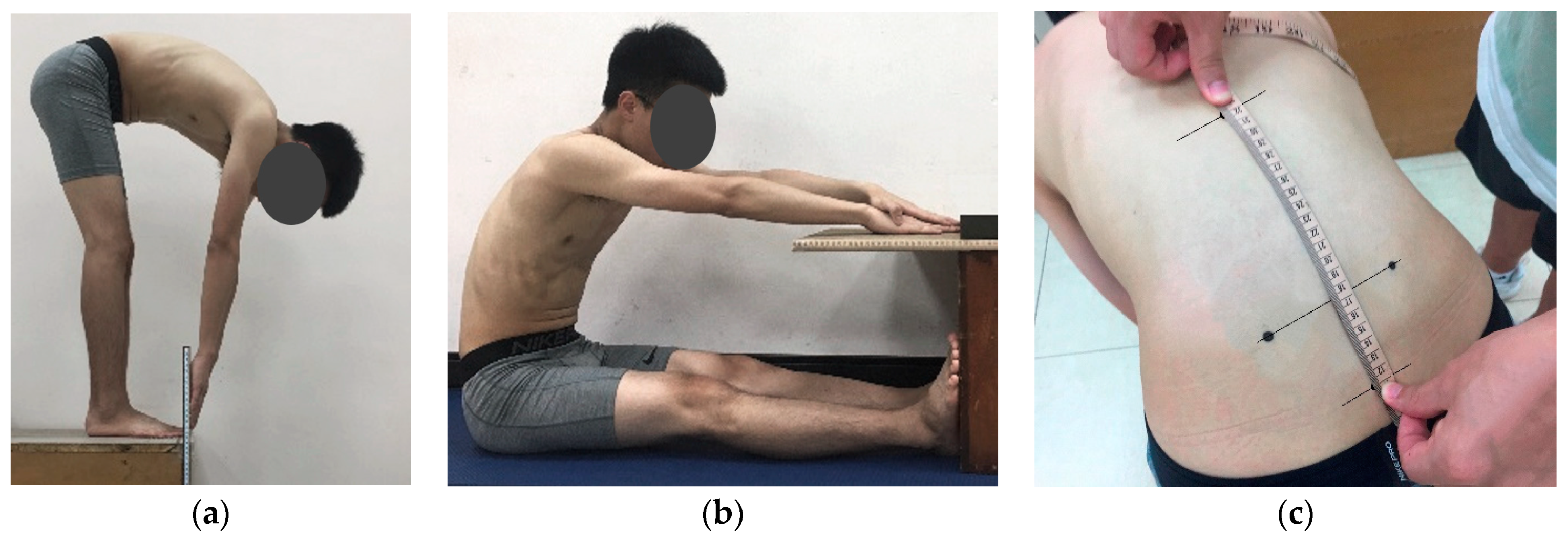 Applsci 10 05967 g001 Applsci 10 05967 g001