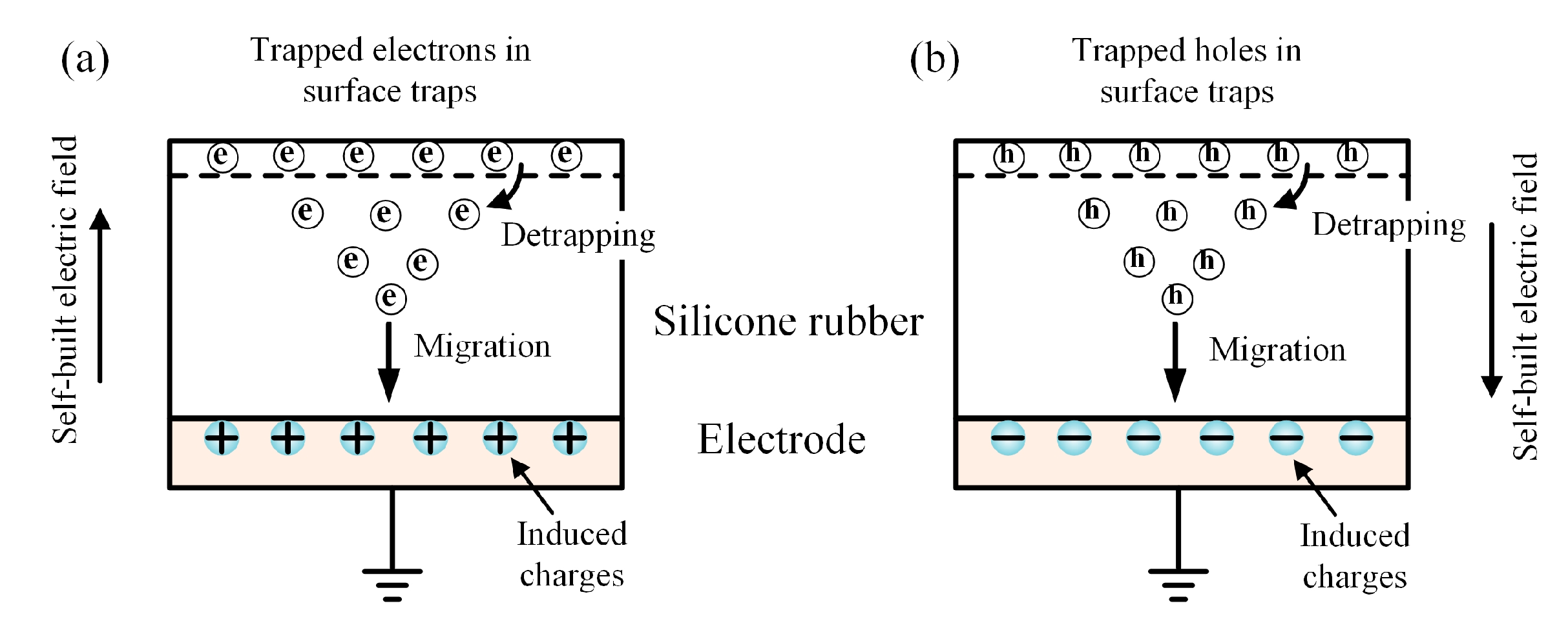 Applsci 10 06006 g006
