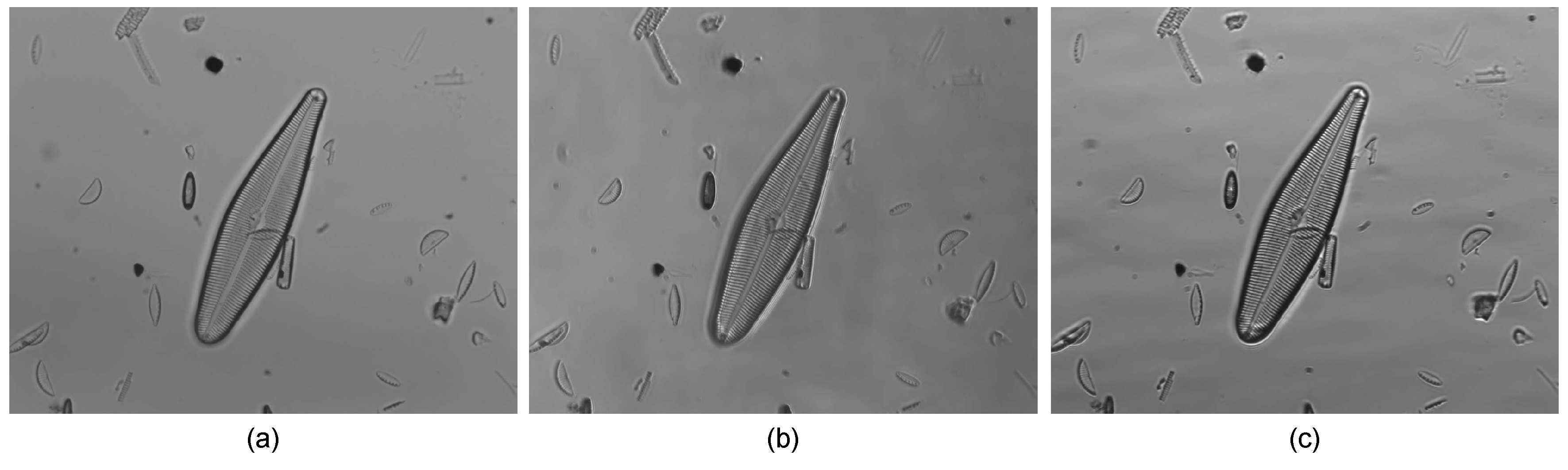 Applsci 10 06033 g007