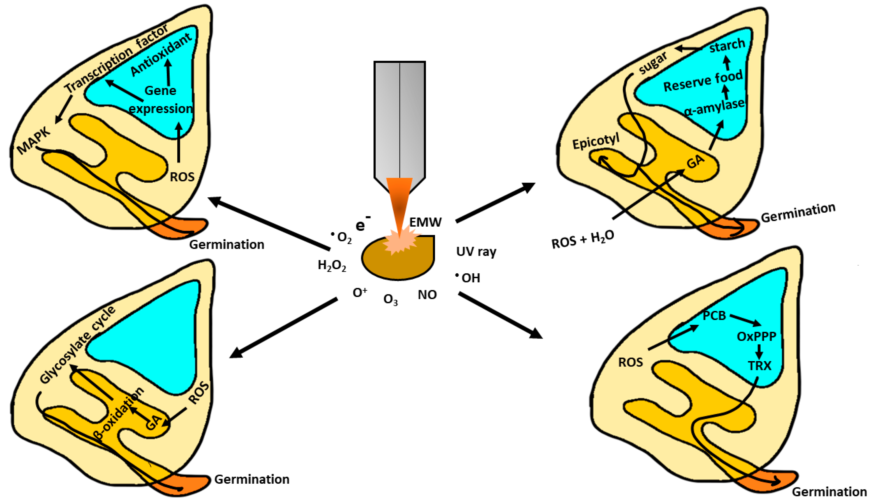 Applsci 10 06045 g001 Applsci 10 06045 g001