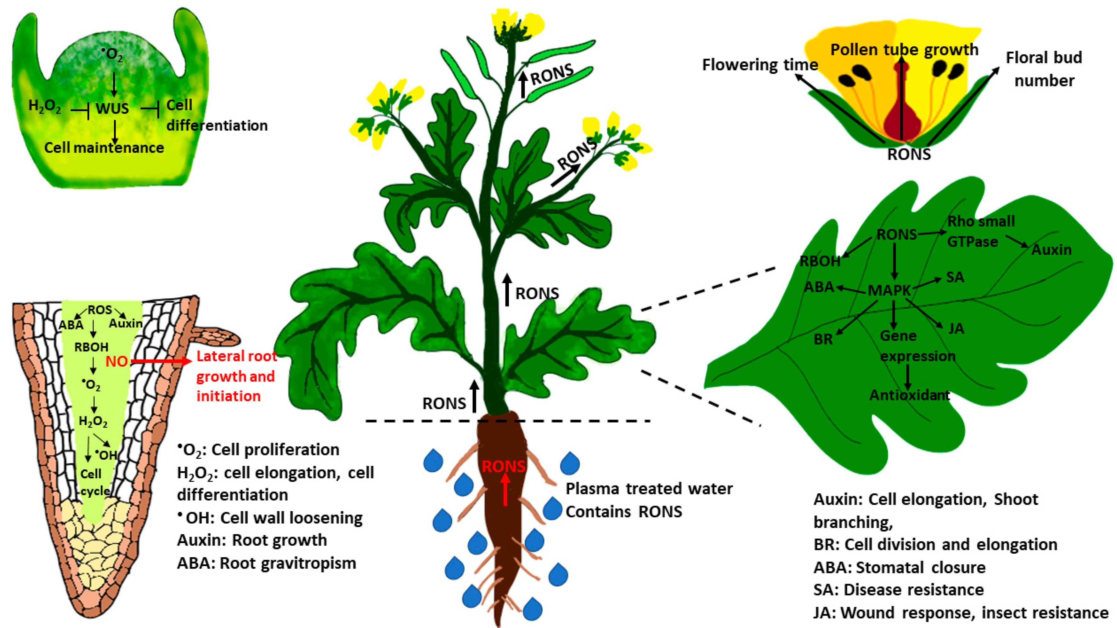 Applsci 10 06045 g002 Applsci 10 06045 g002