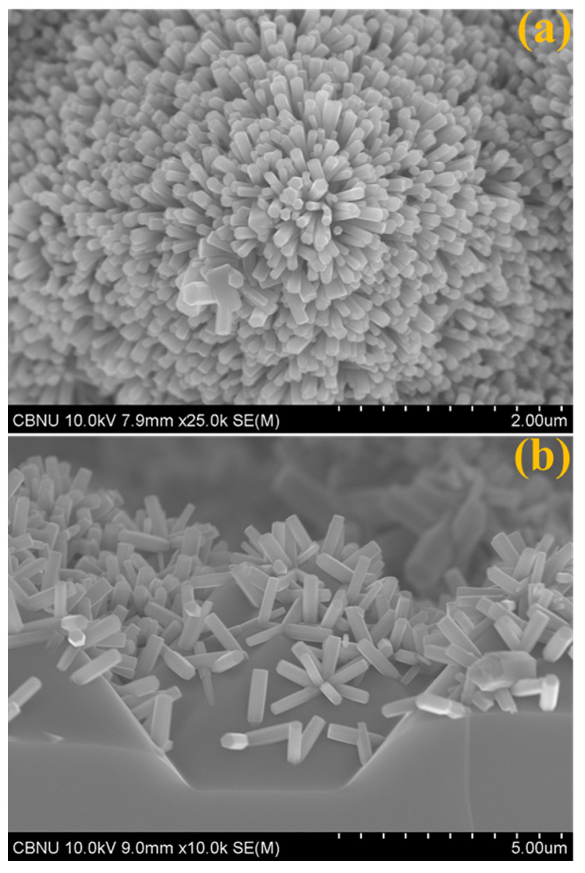 Applsci 10 06062 g003