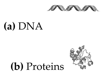 Applsci 10 06064 i026