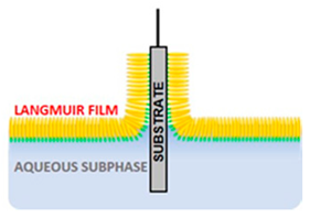 Applsci 10 06064 i028