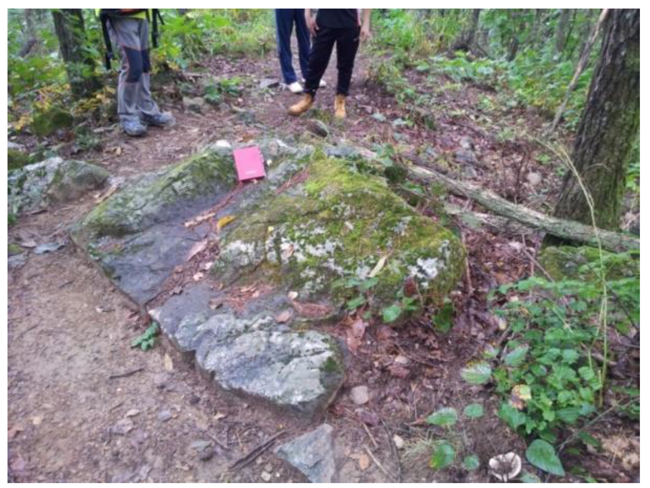 Applsci 10 06079 g003