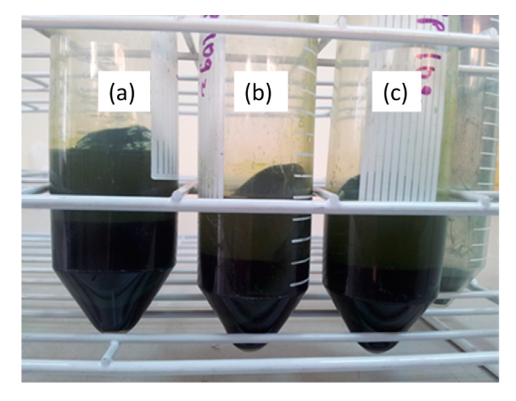 Applsci 10 06103 g003