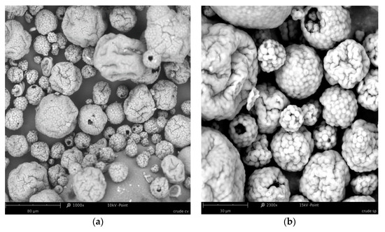 Applsci 10 06103 g0a1