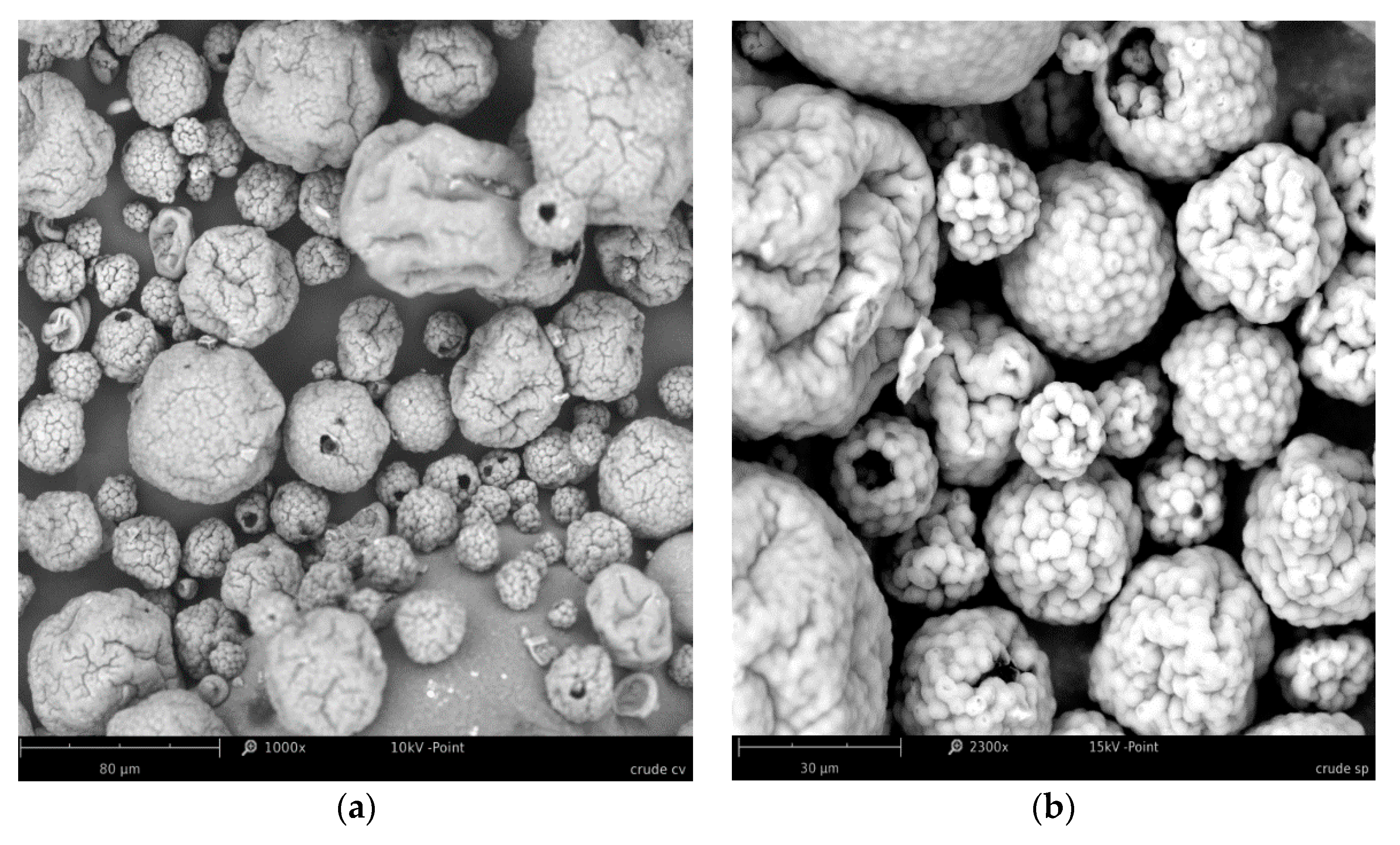 Applsci 10 06103 g0a1